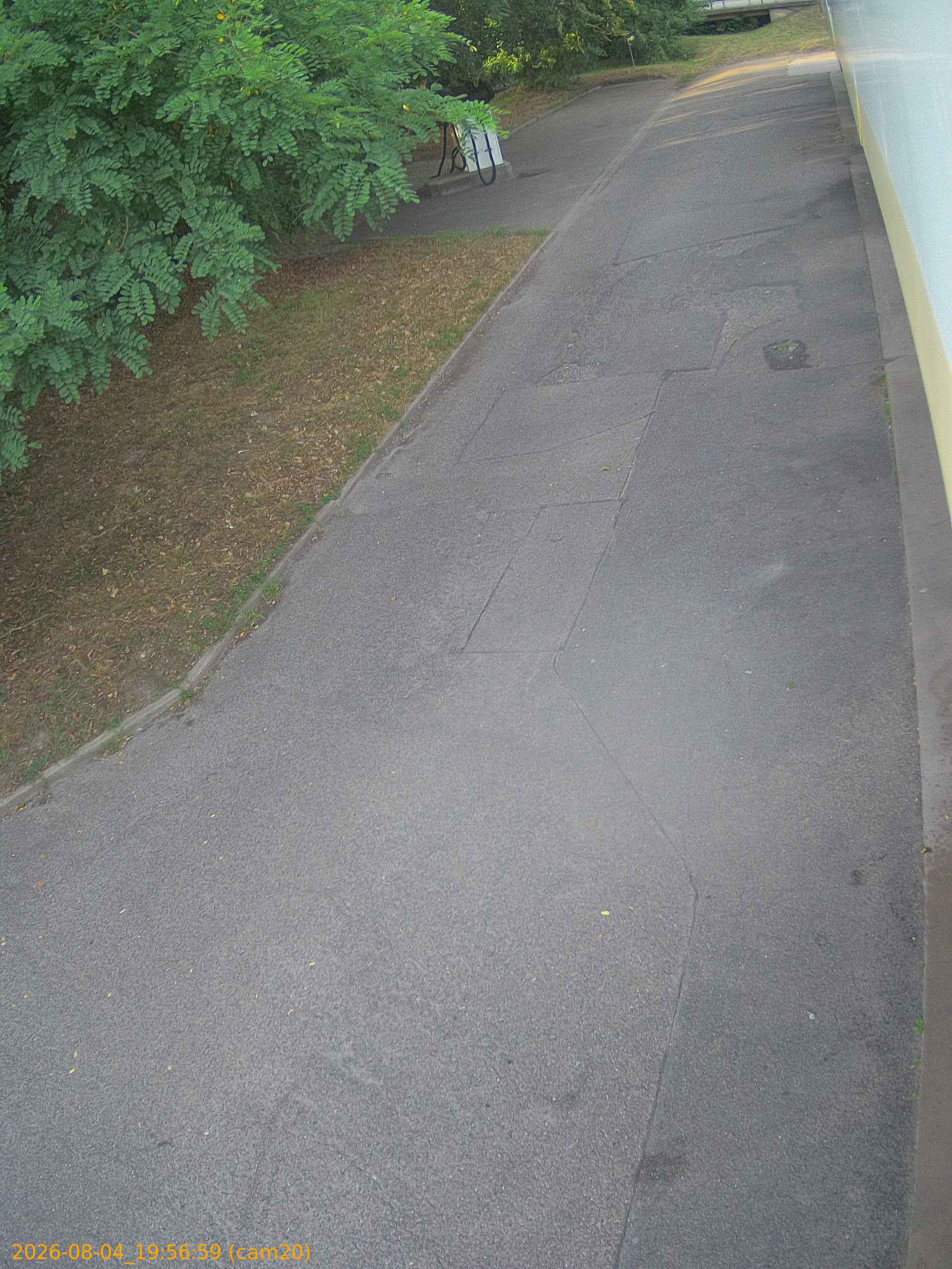 thumbnail_202608041956