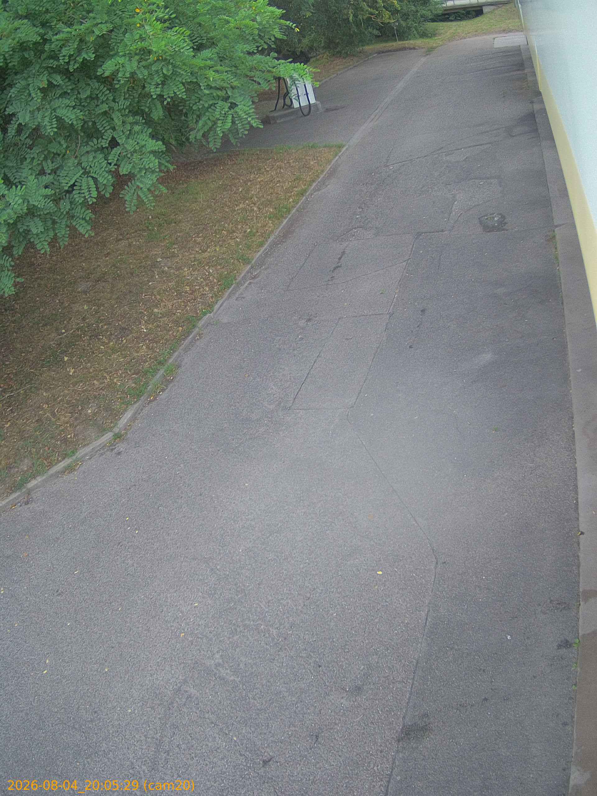 thumbnail_20260804200529