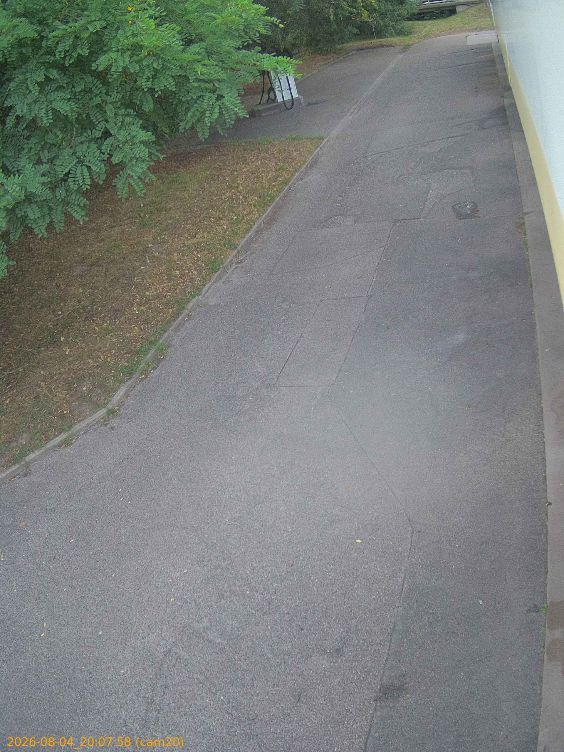 thumbnail_202608042007