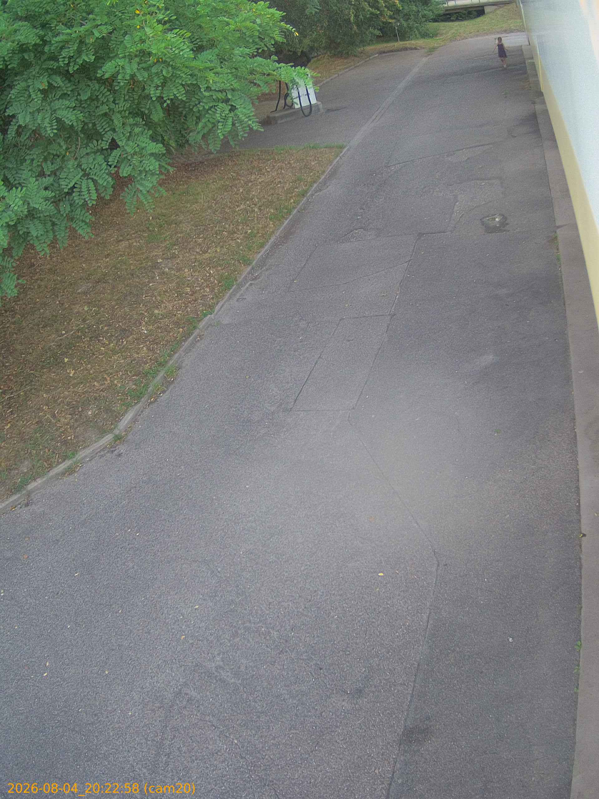 thumbnail_202608042022