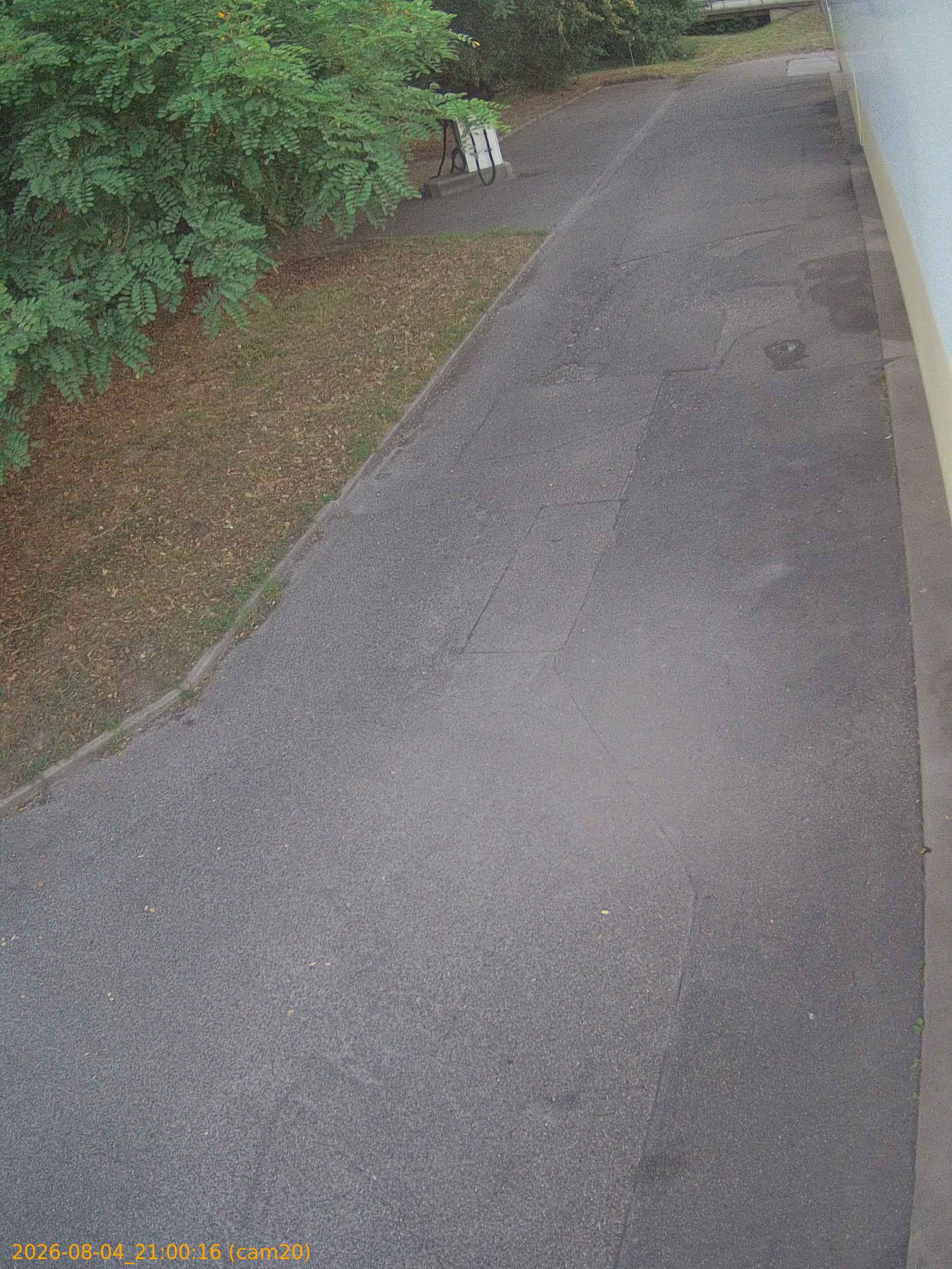 thumbnail_20260804210016