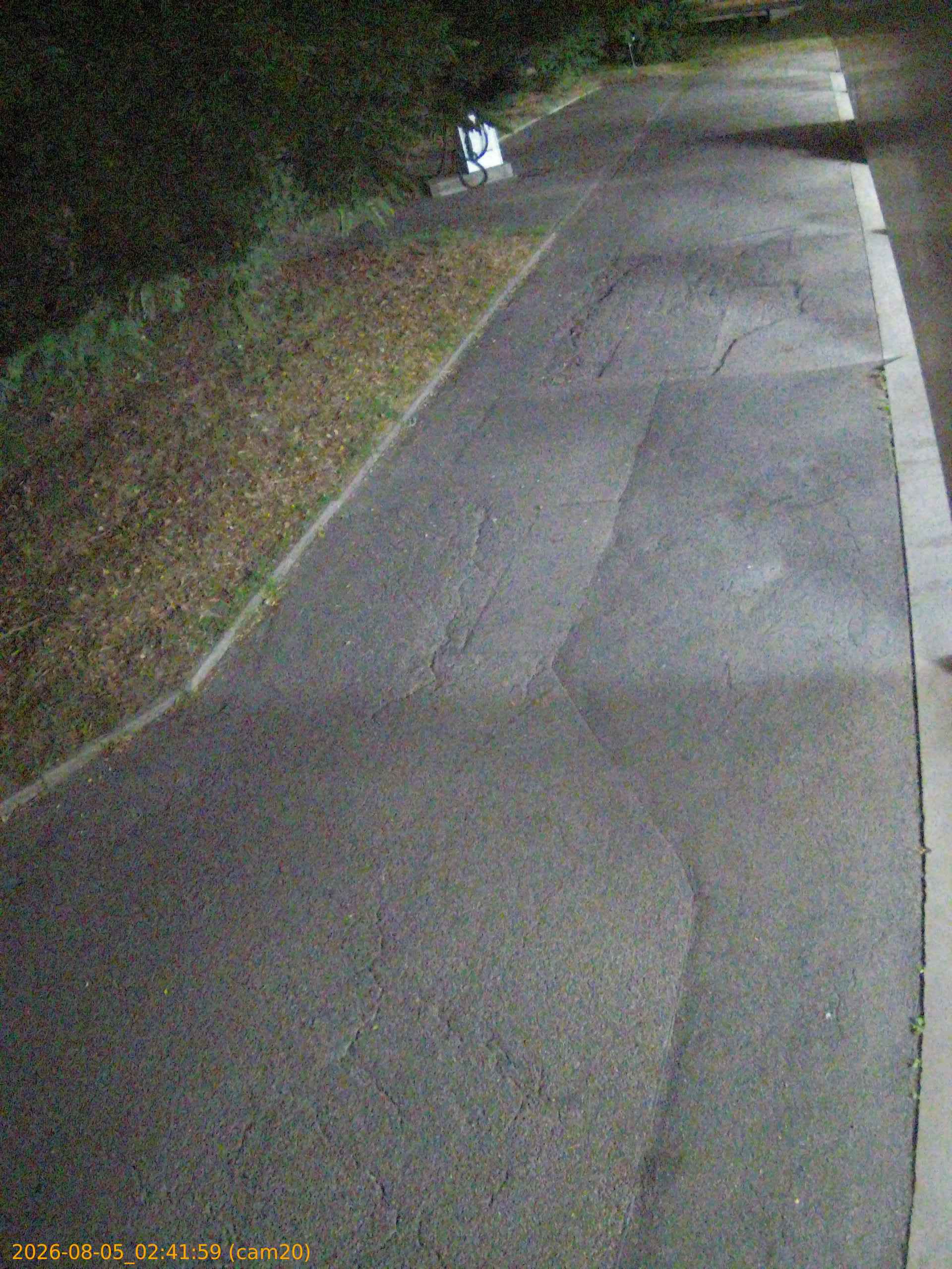 202608050241