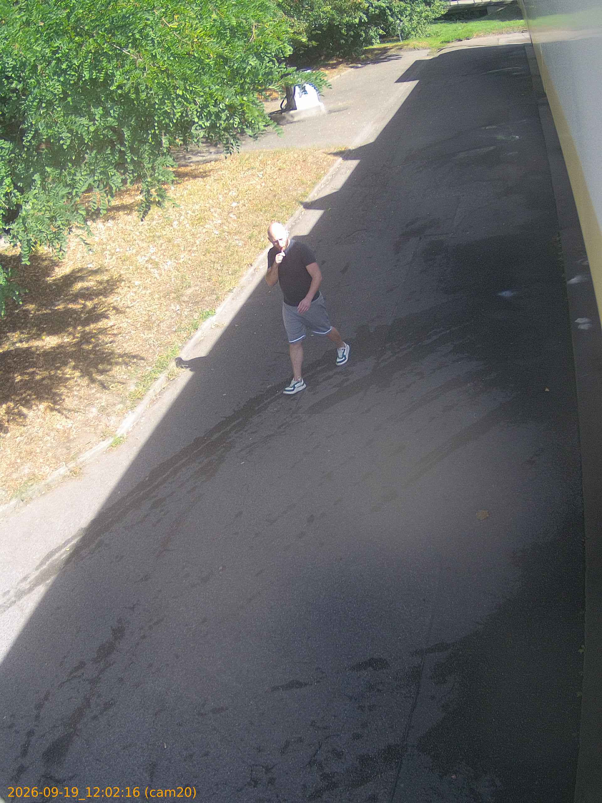 thumbnail_20260919120216