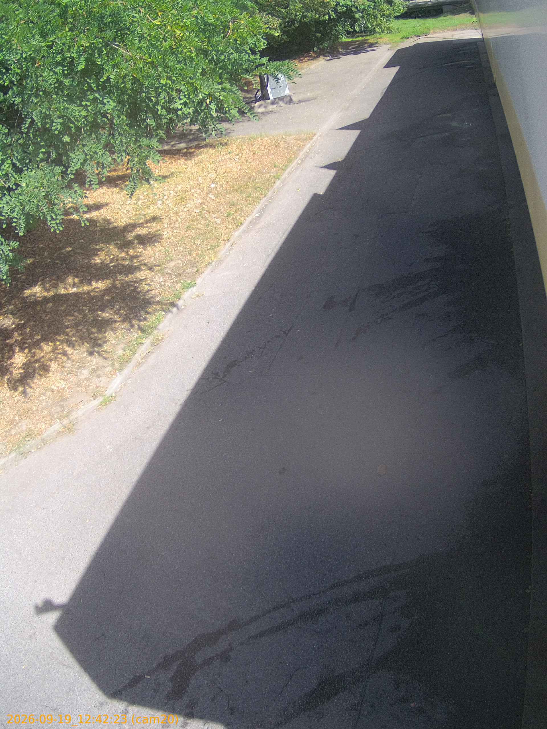 thumbnail_20260919124223
