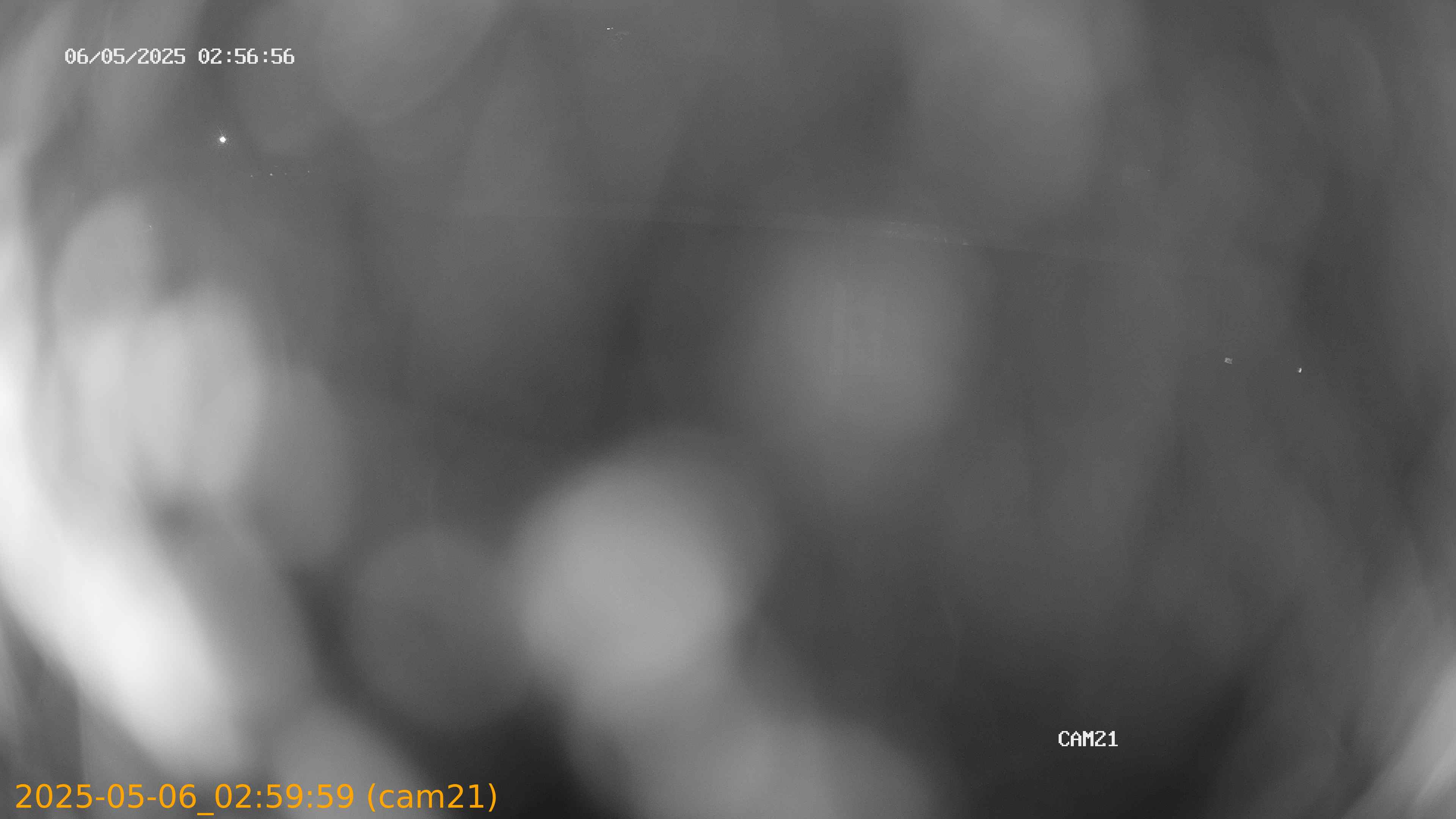 thumbnail_2025050602