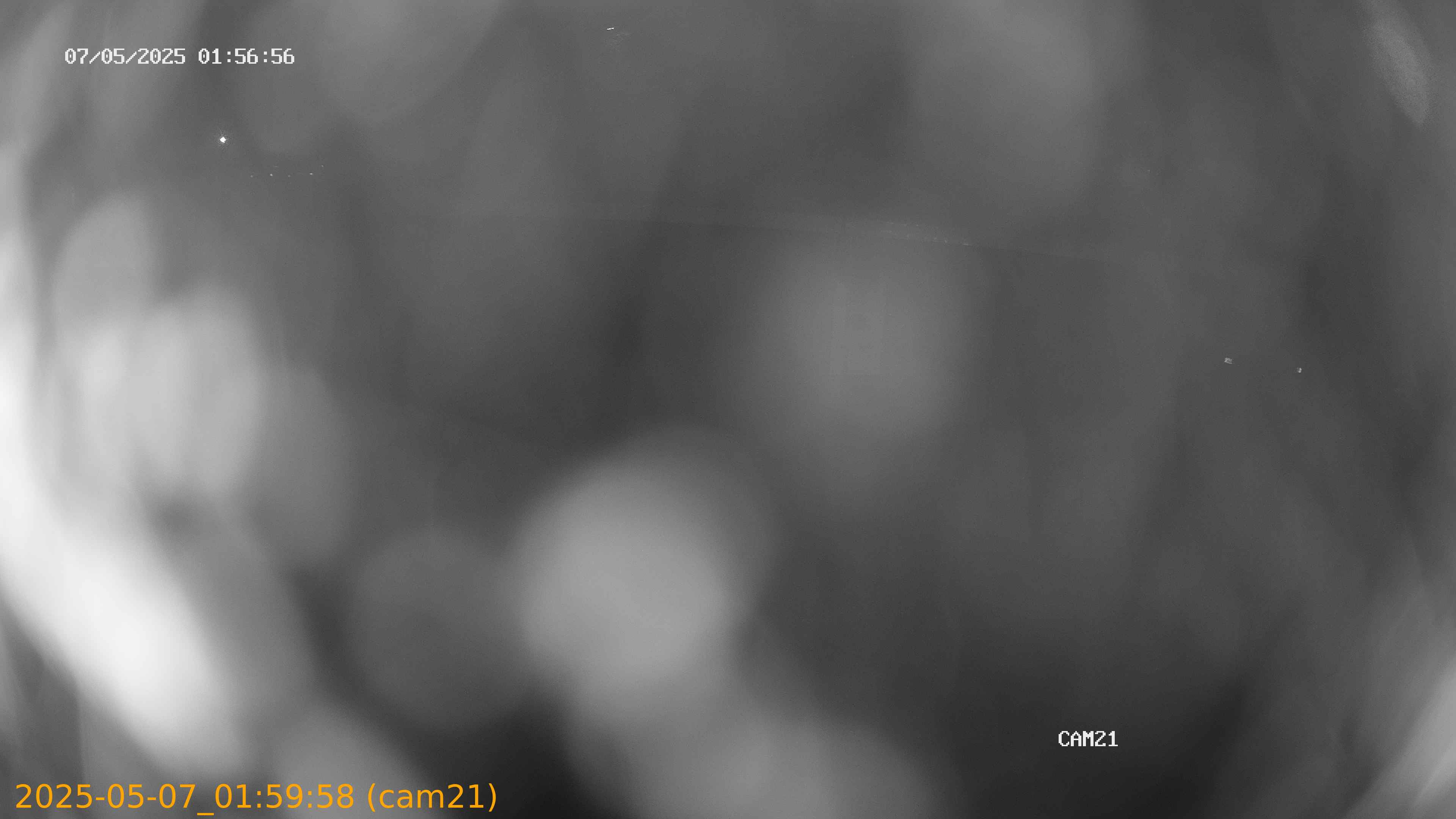 thumbnail_2025050701