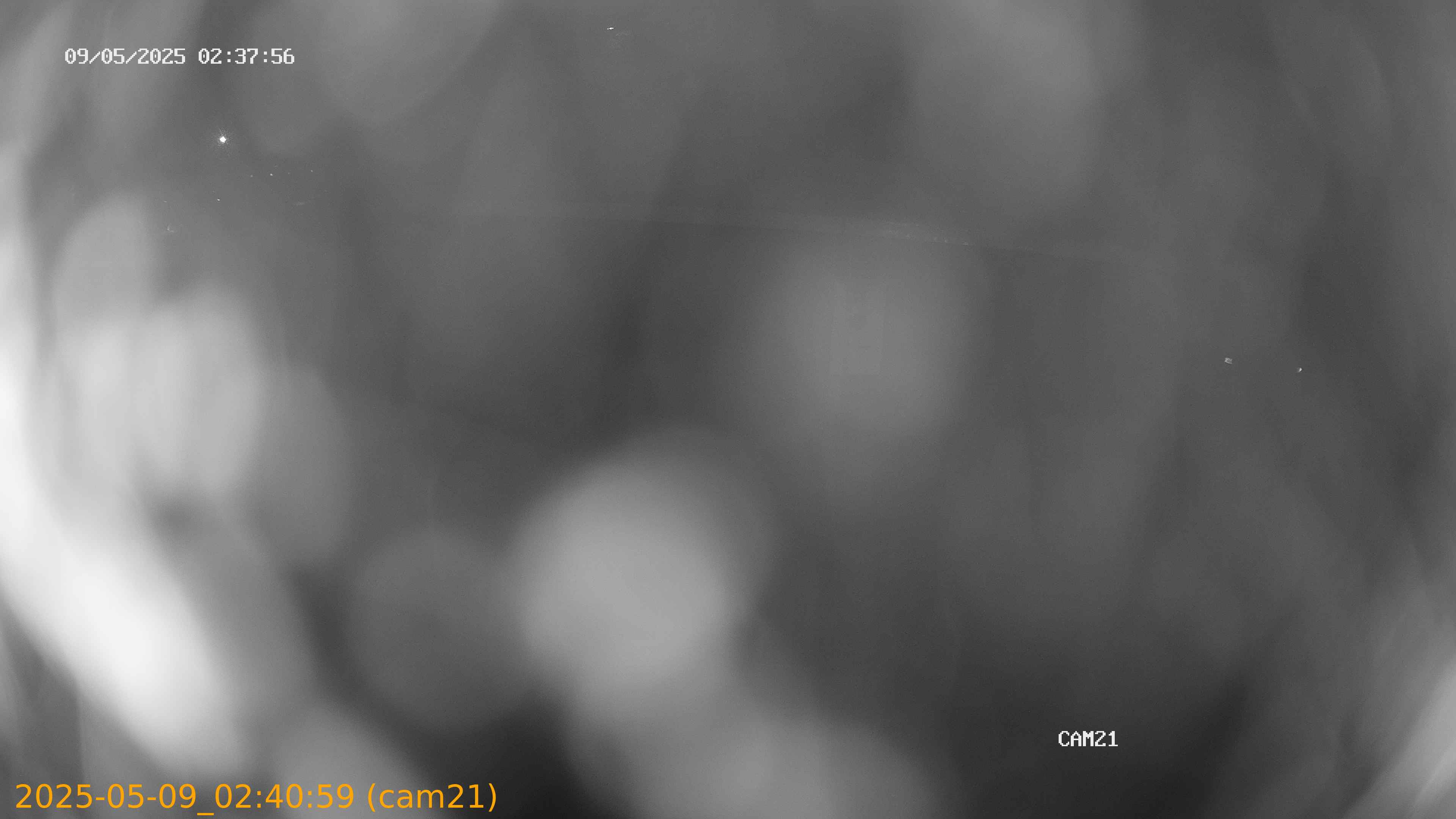 thumbnail_202505090240