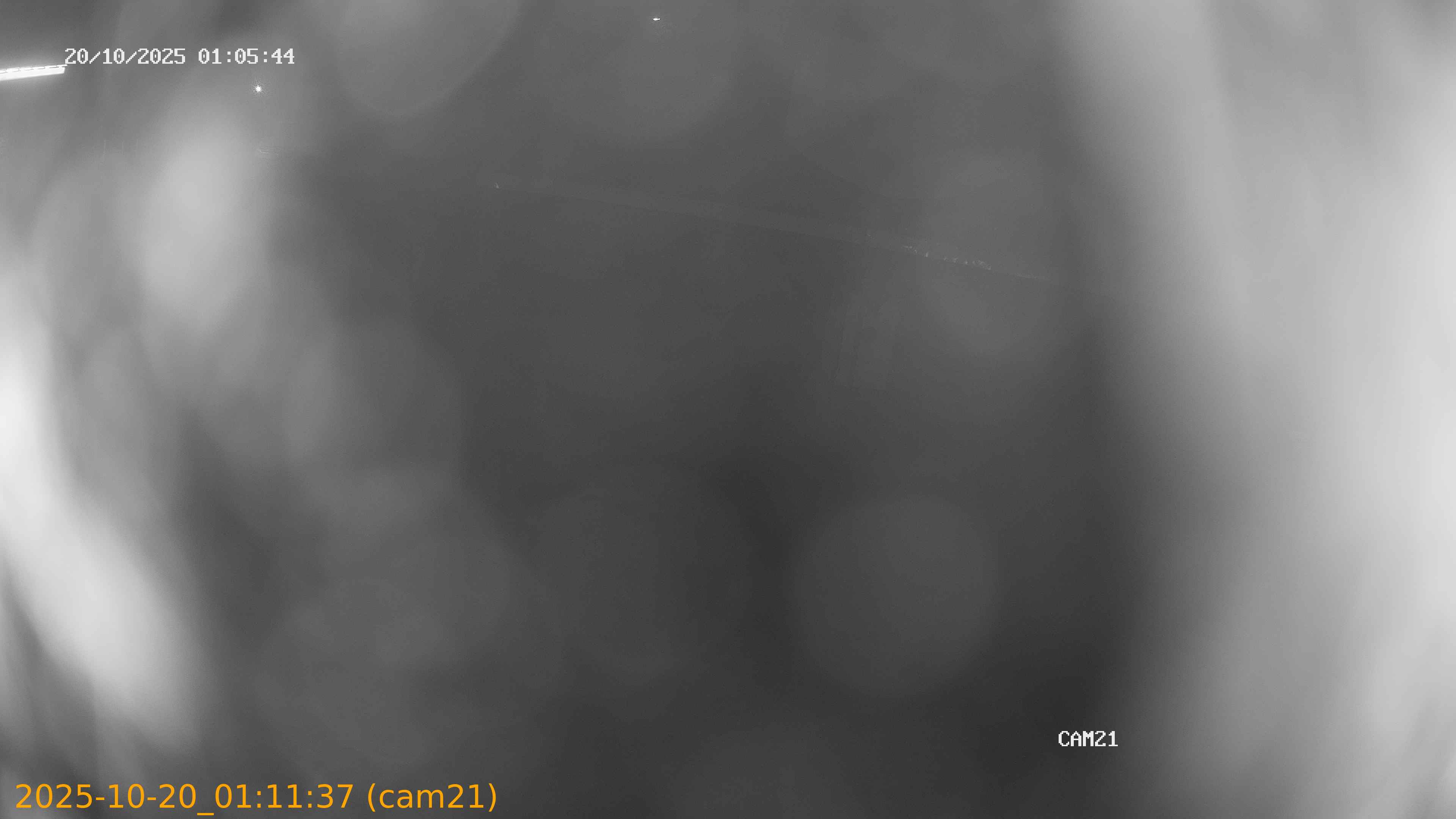 thumbnail_202510200111