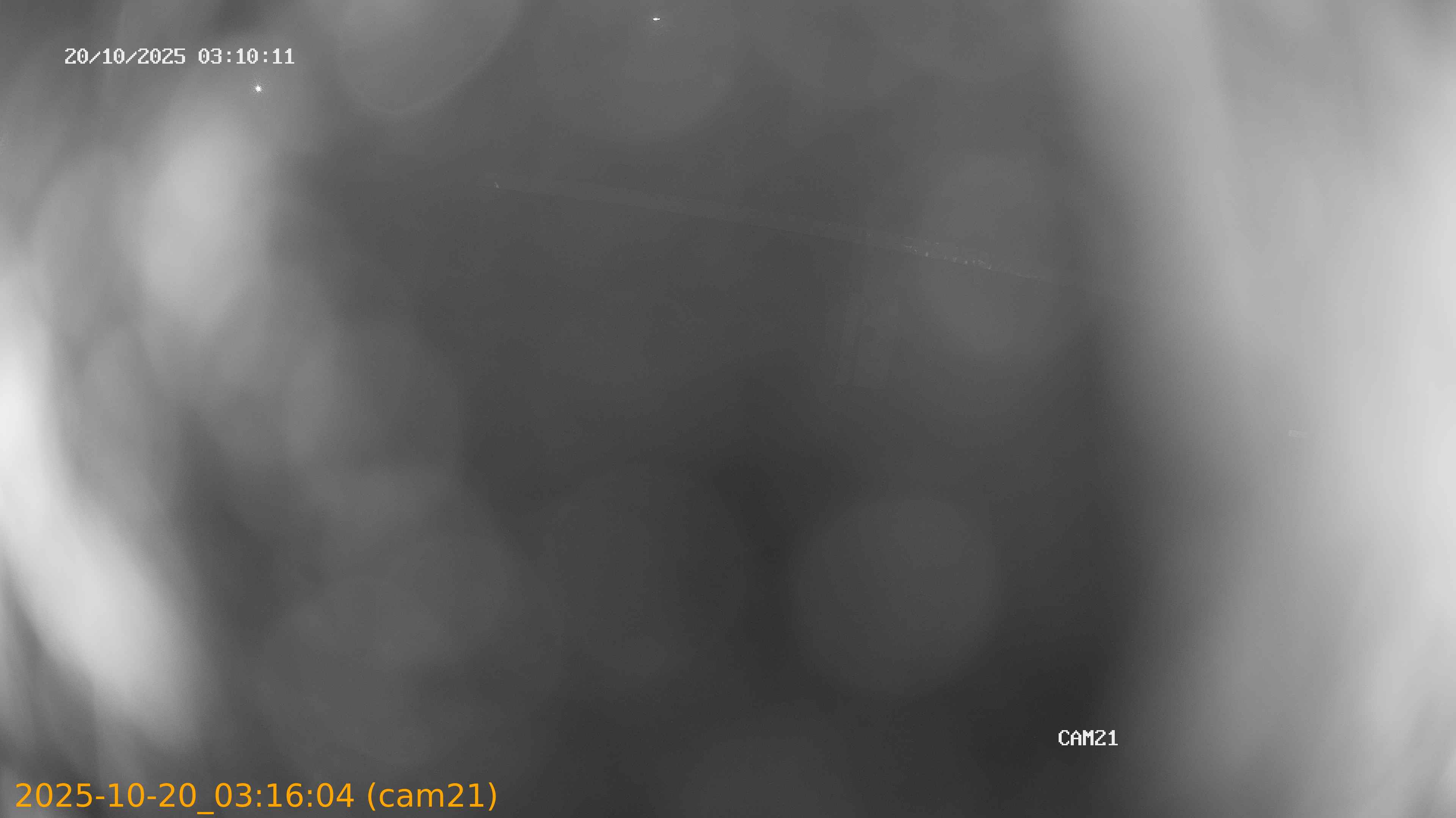 20251020031604