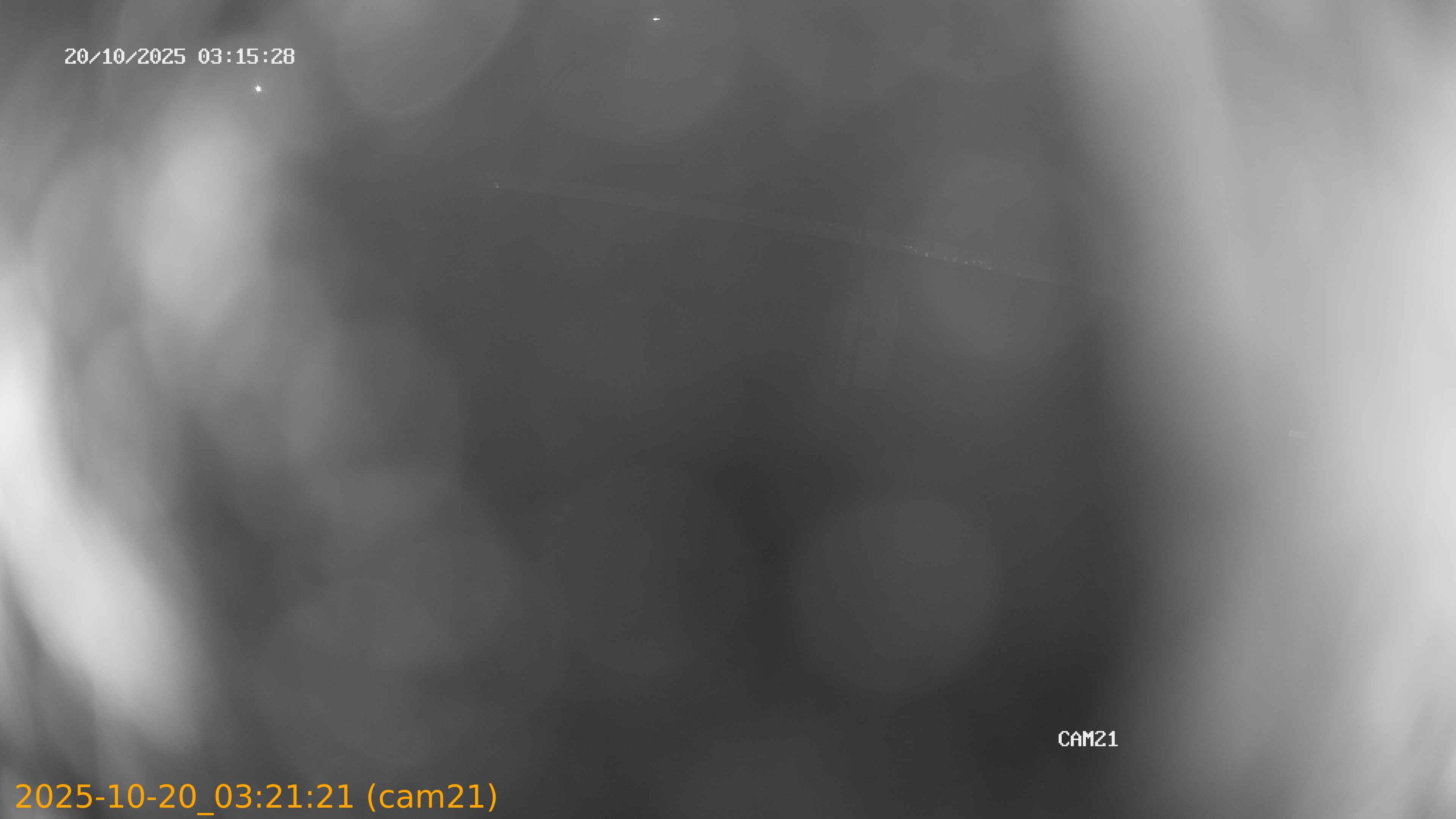 20251020032121