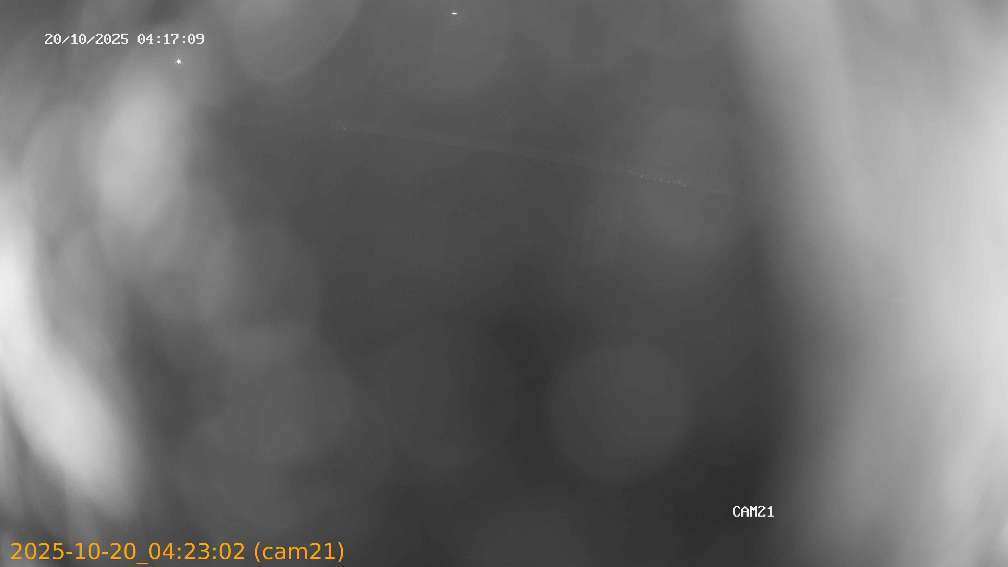 20251020042302