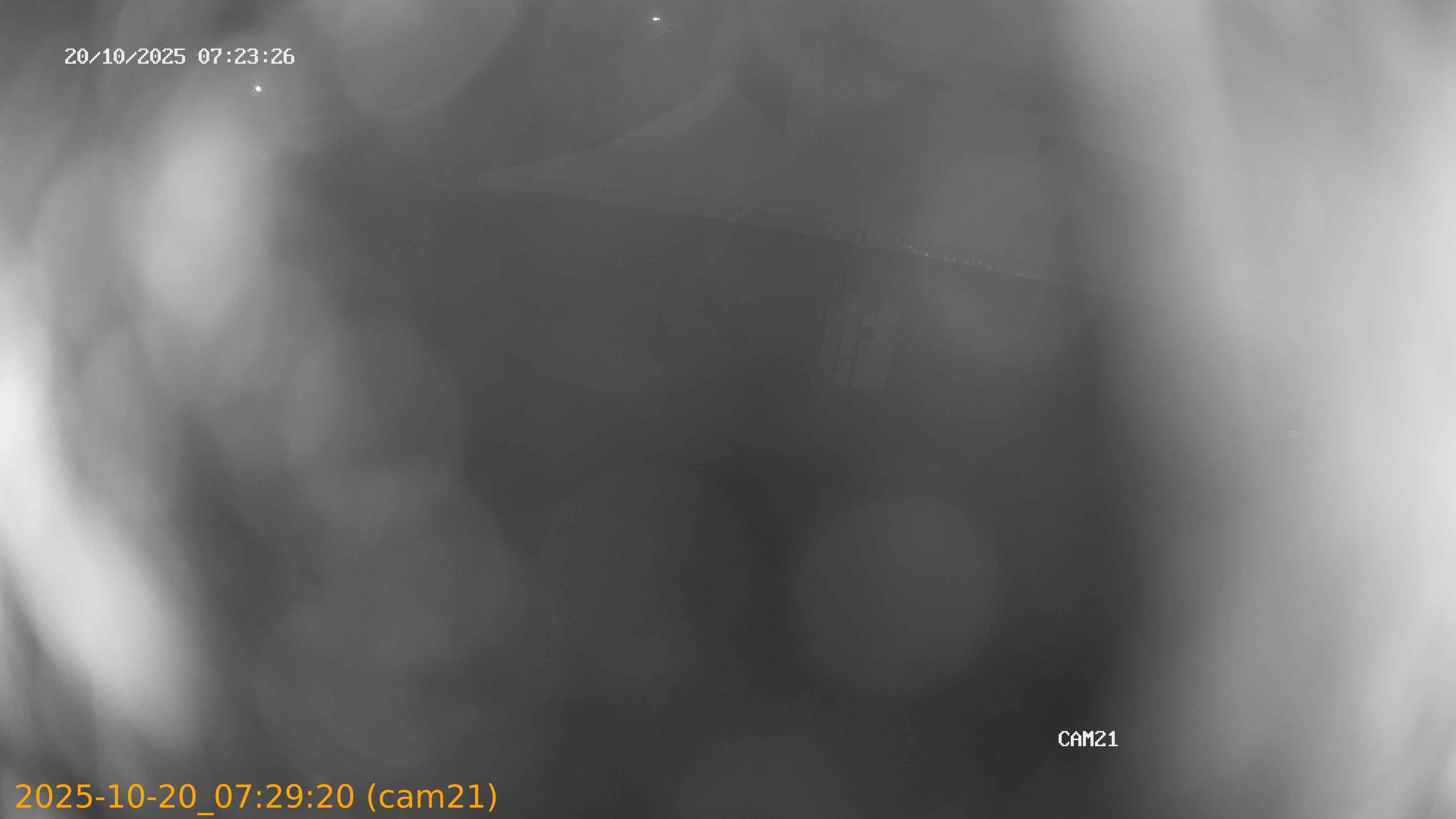 thumbnail_202510200729