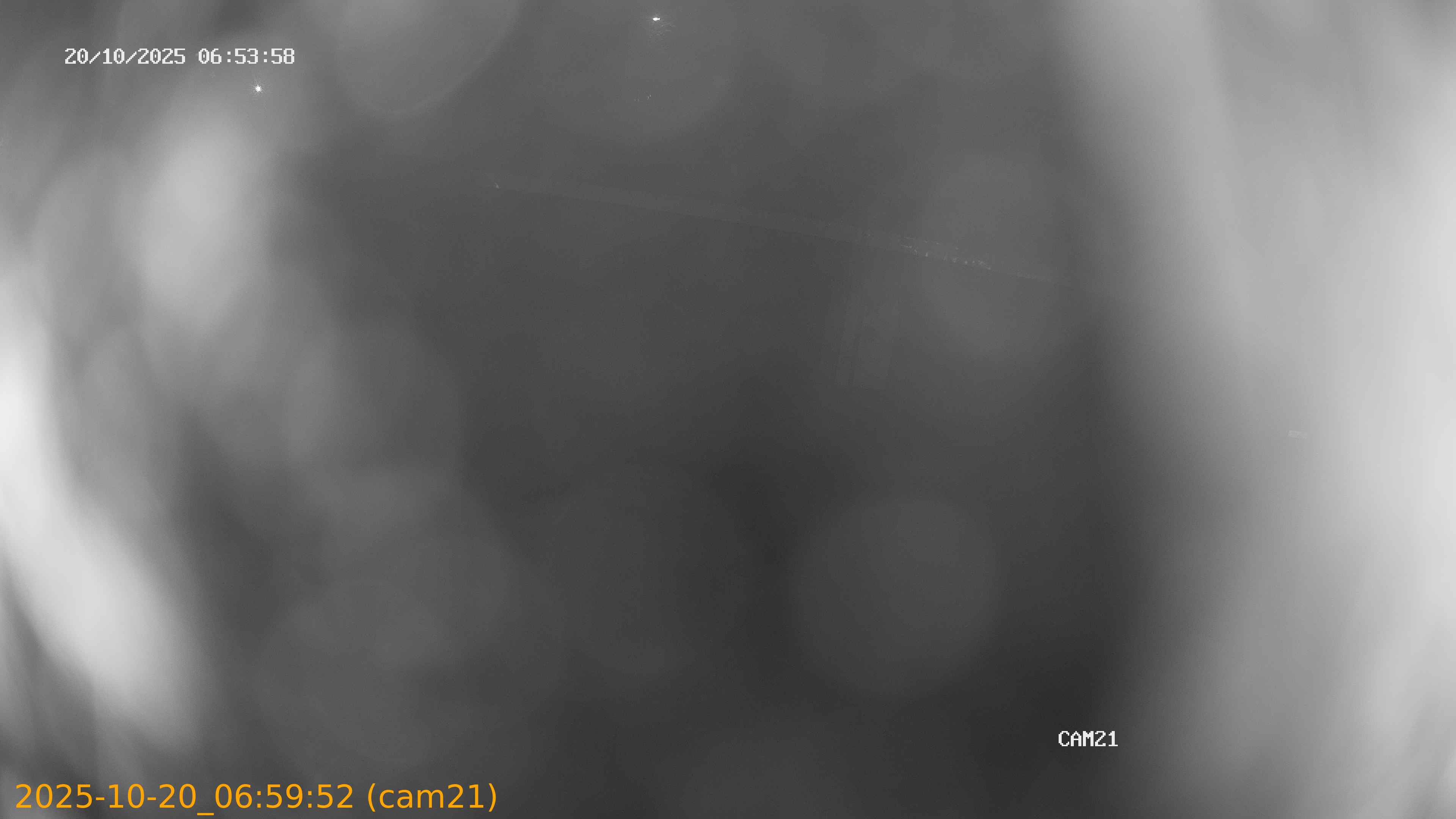 2025102006