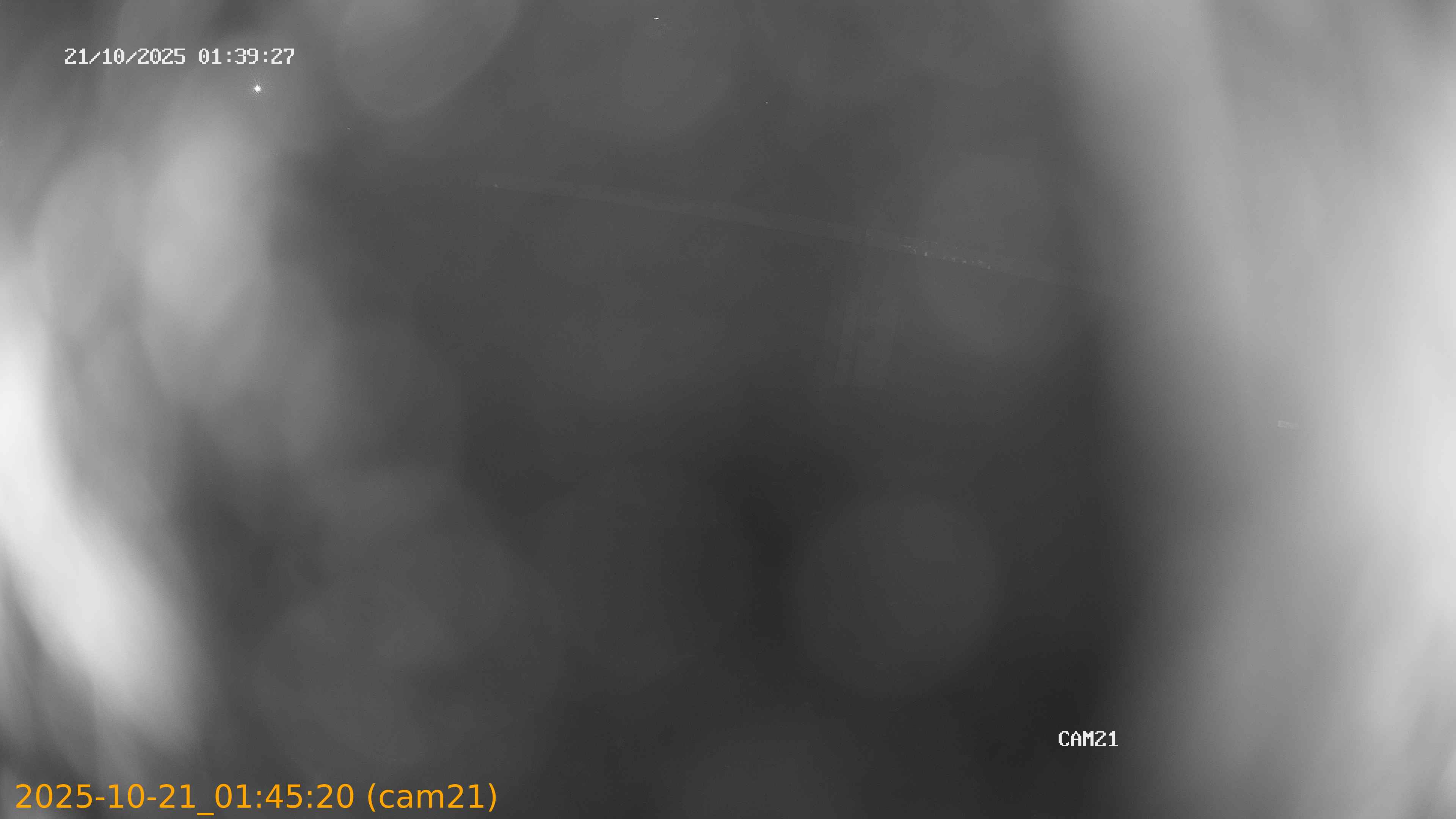 thumbnail_202510210145