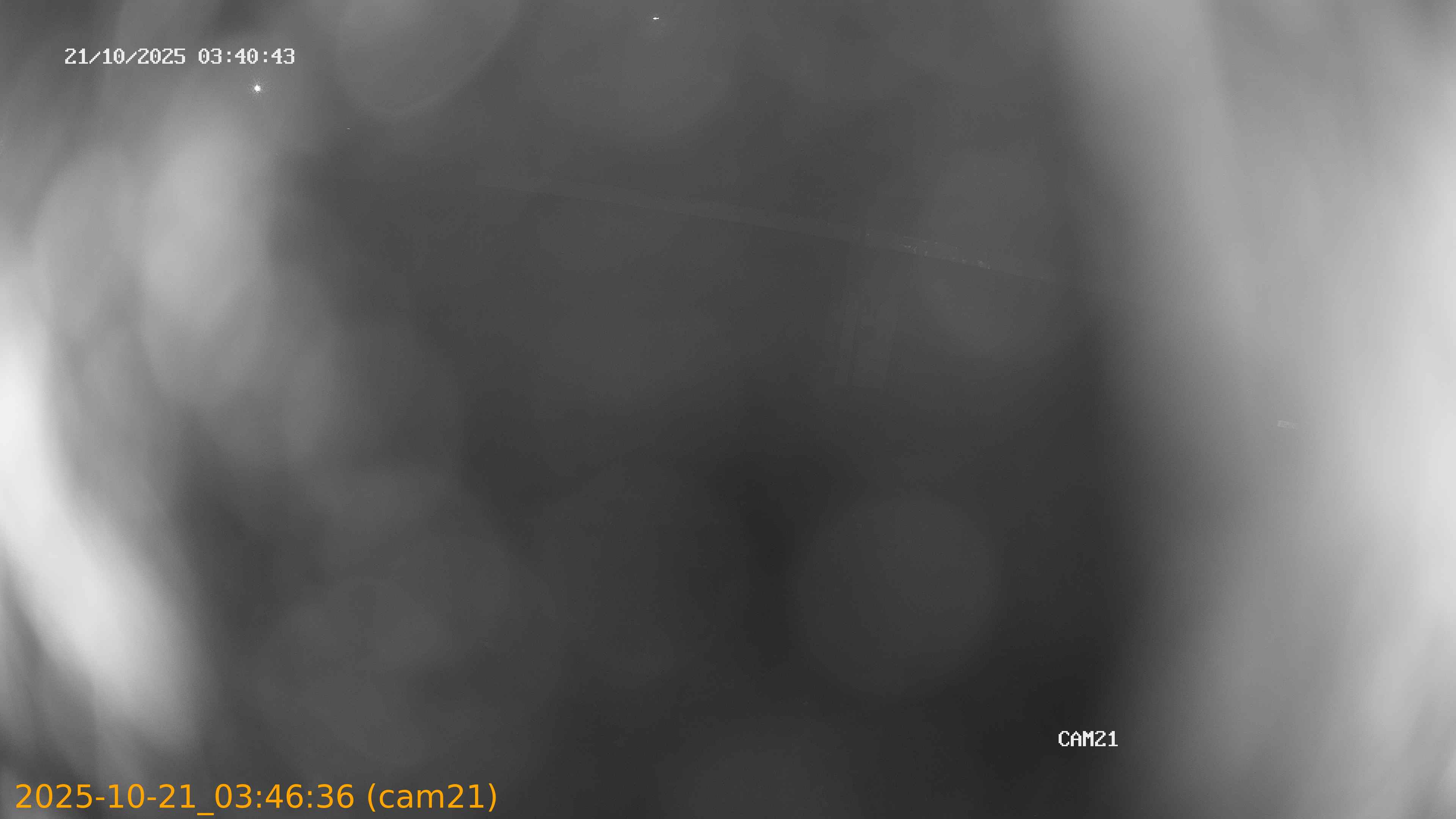 20251021034636