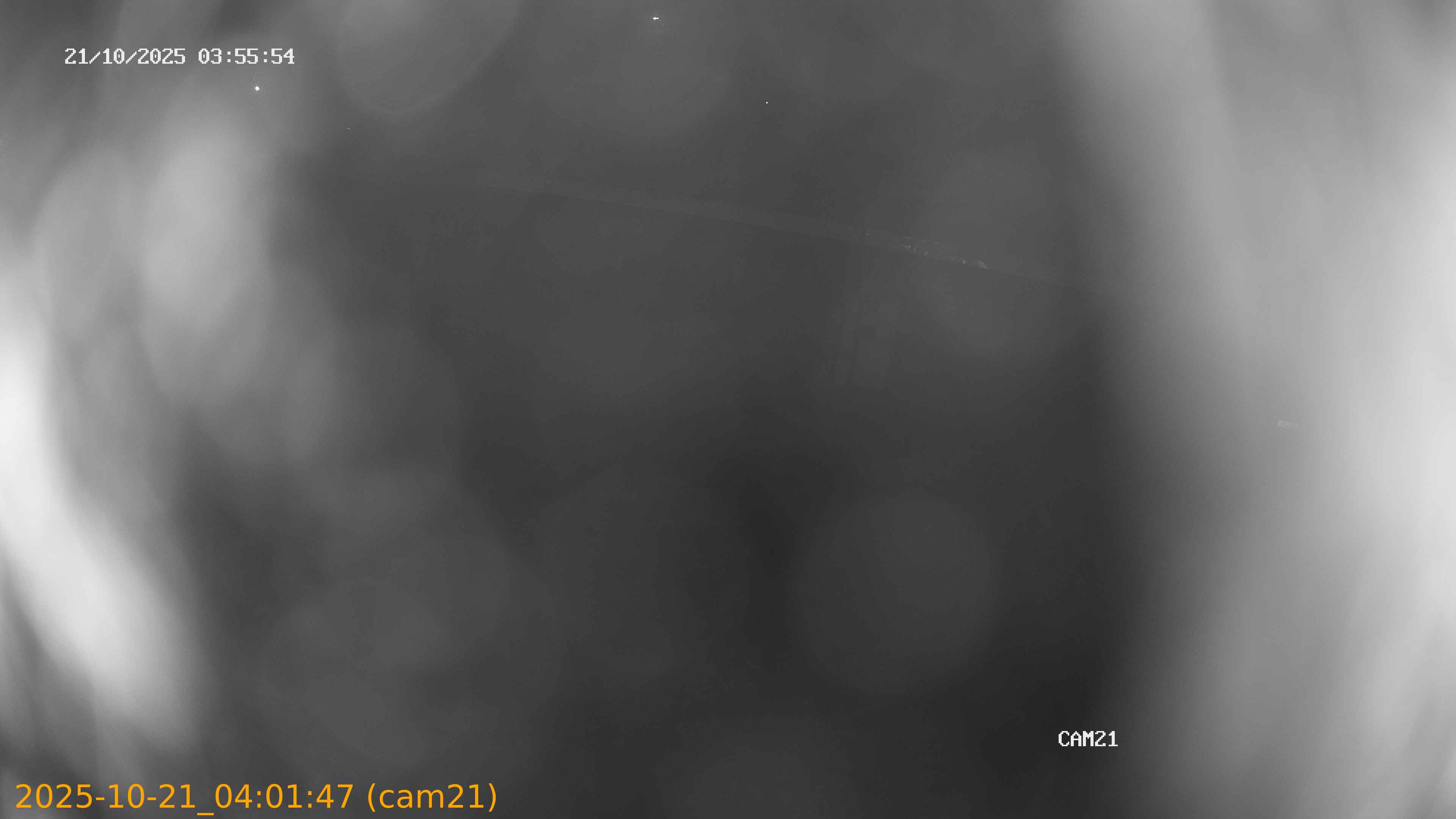 20251021040147
