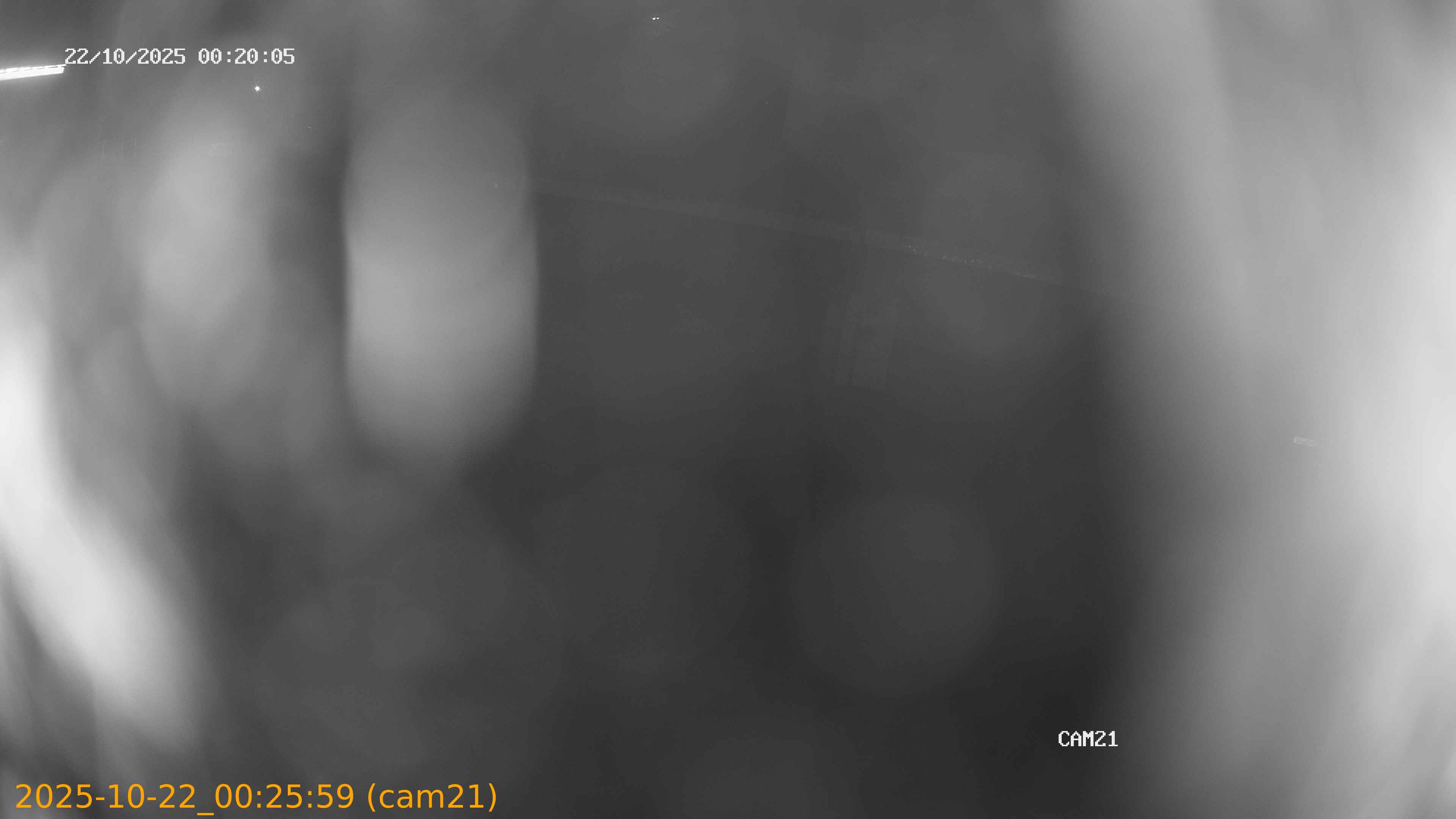 thumbnail_202510220025