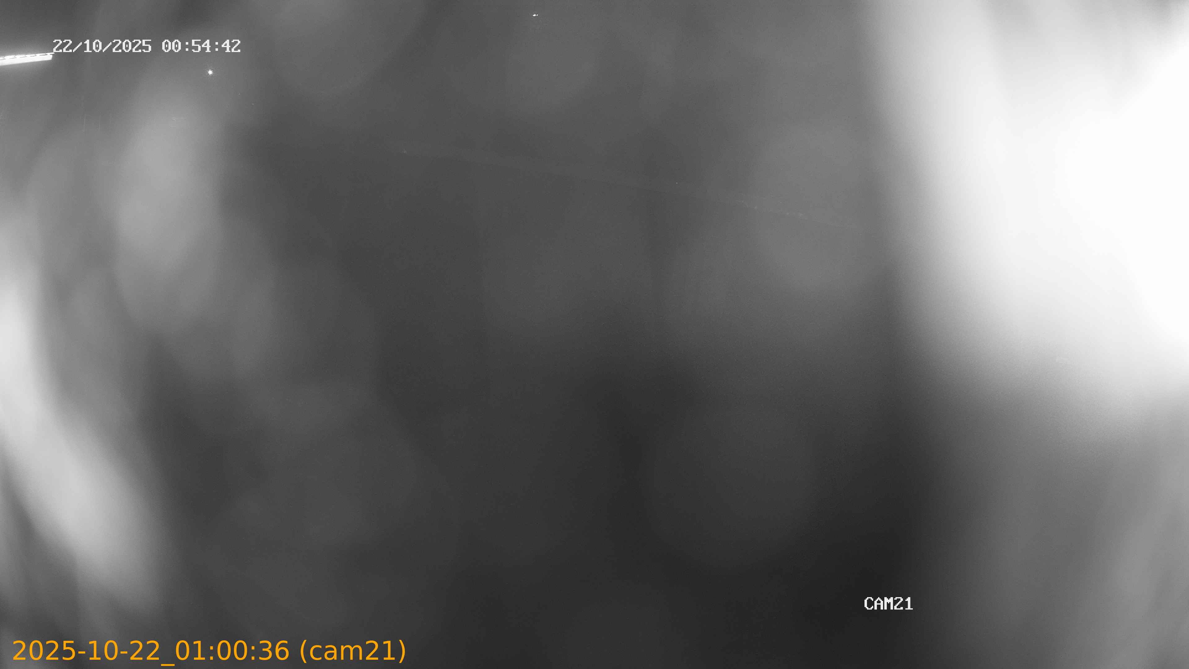 20251022010036
