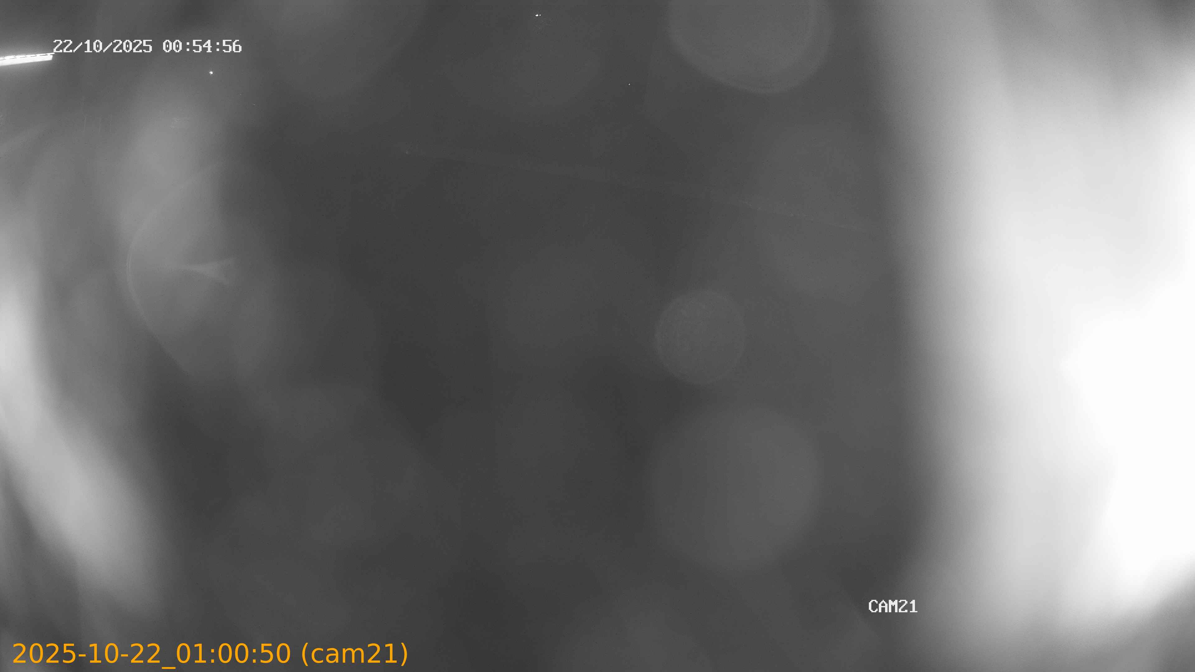 thumbnail_20251022010050