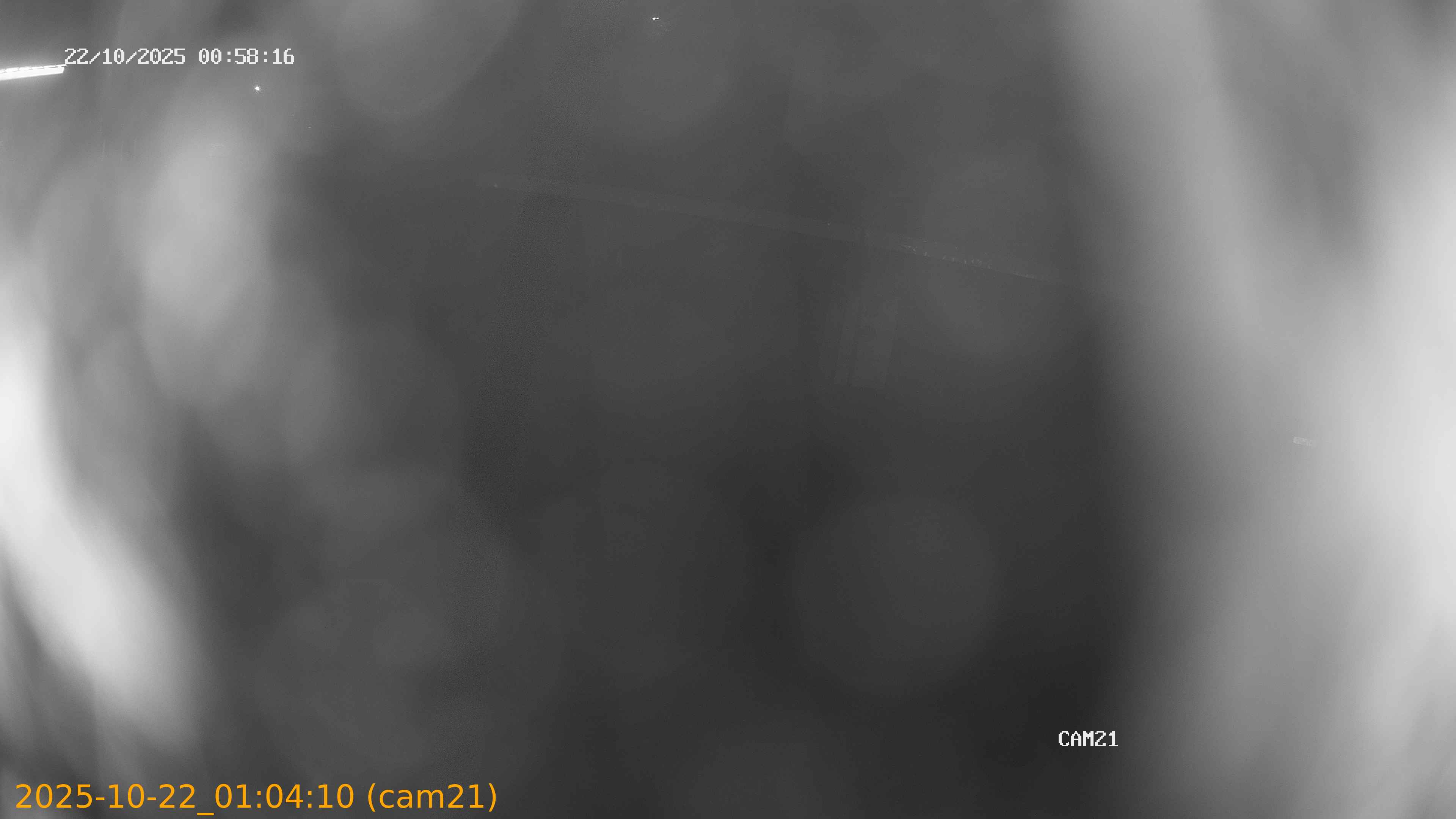 20251022010410