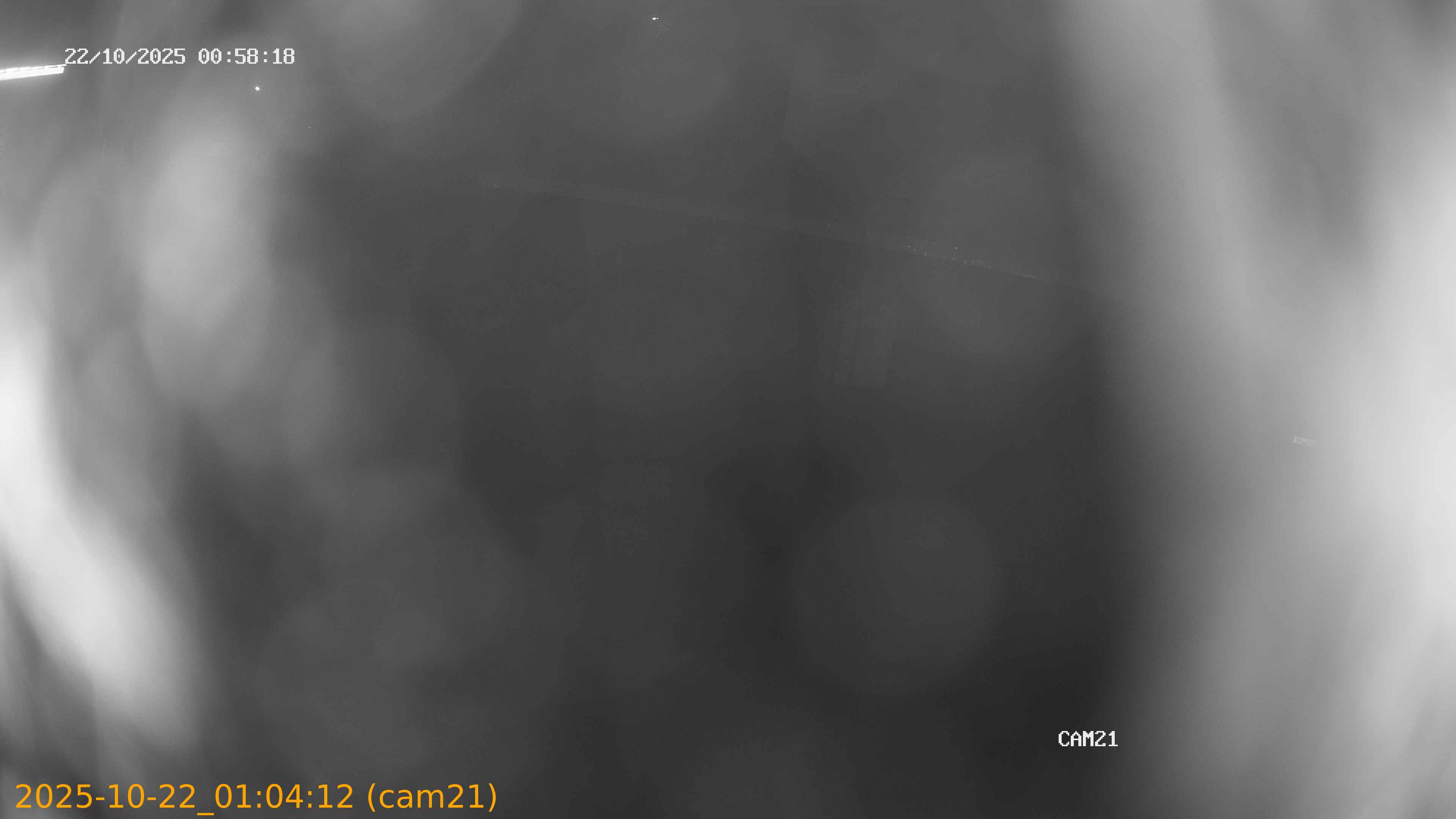 20251022010412