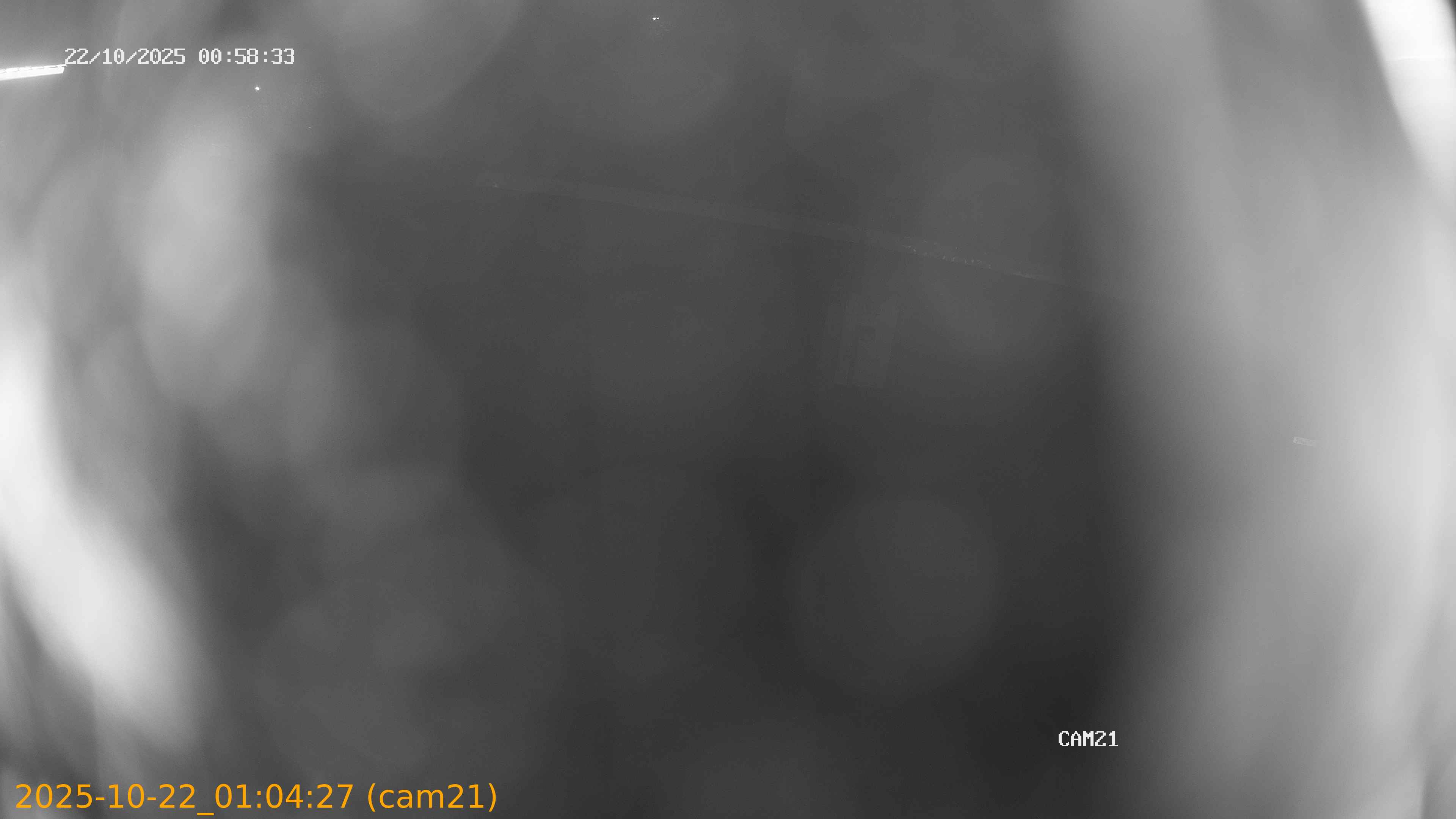 20251022010427