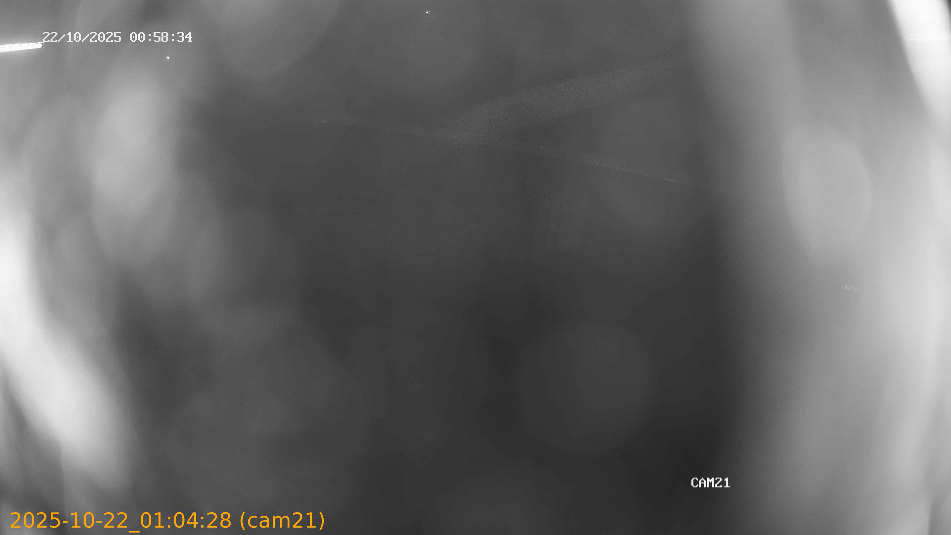 20251022010428