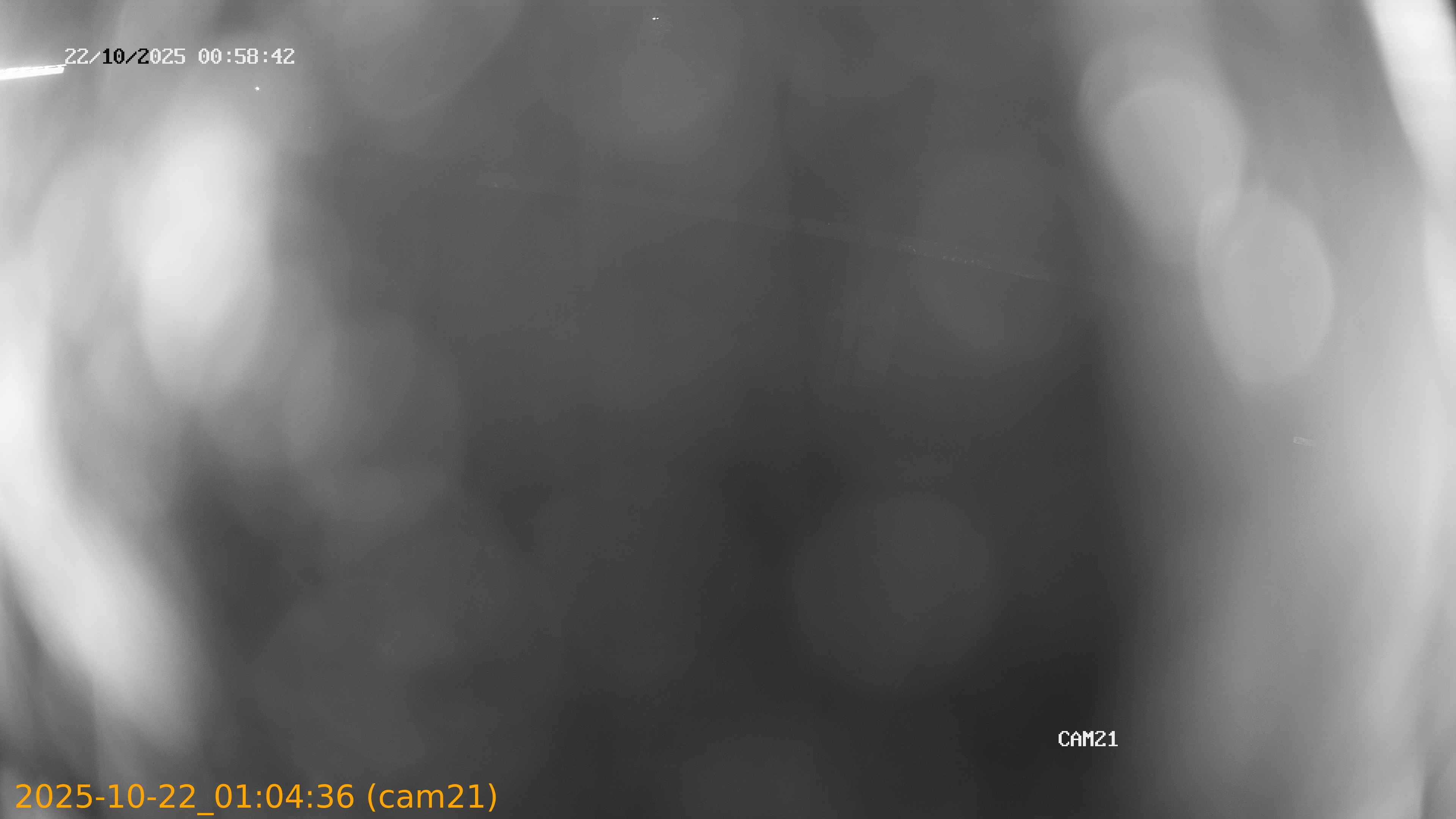 20251022010436
