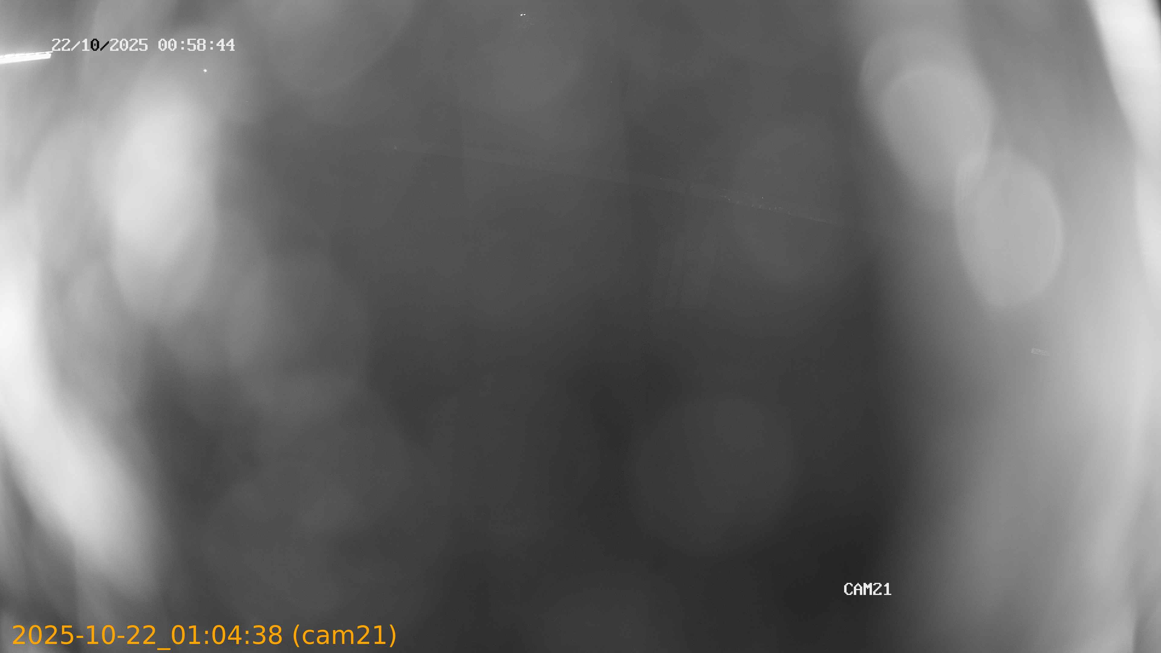 20251022010438