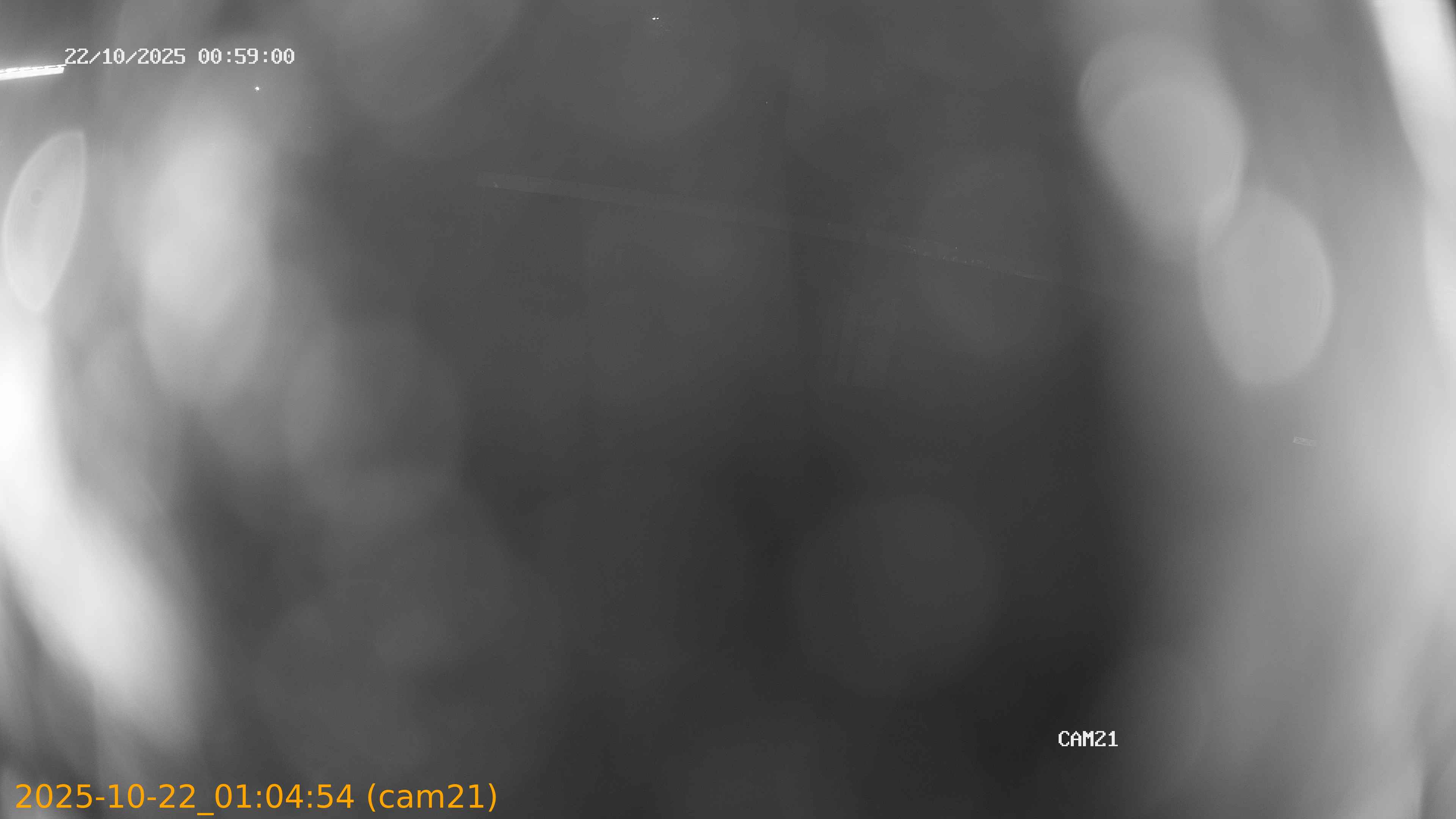20251022010454