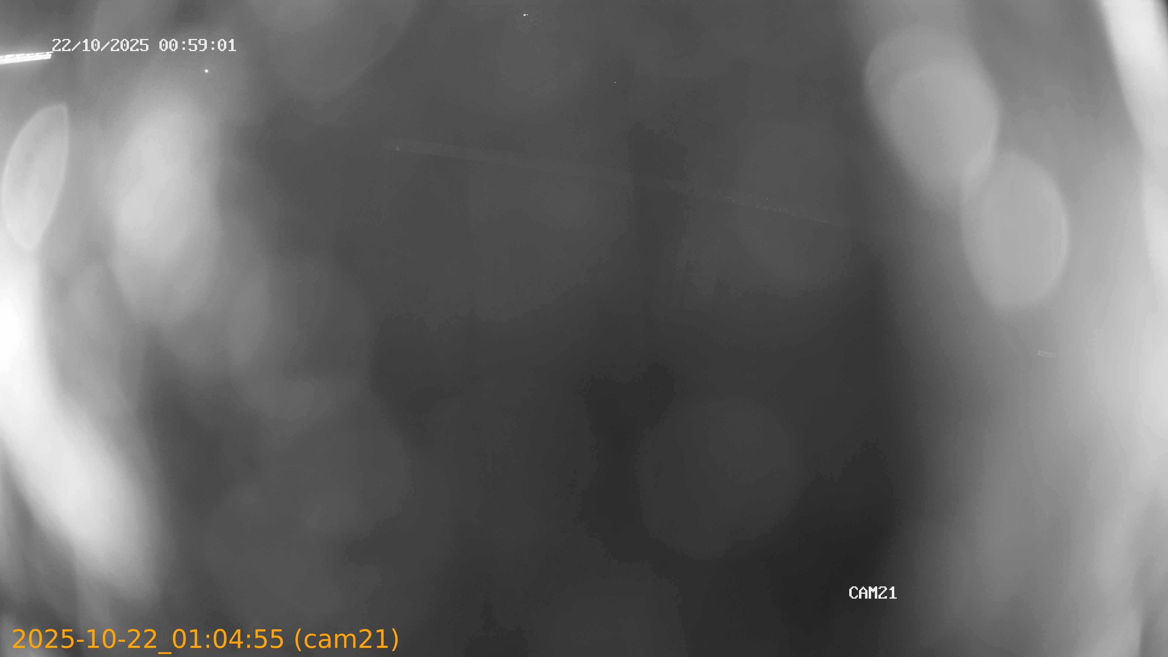 20251022010455