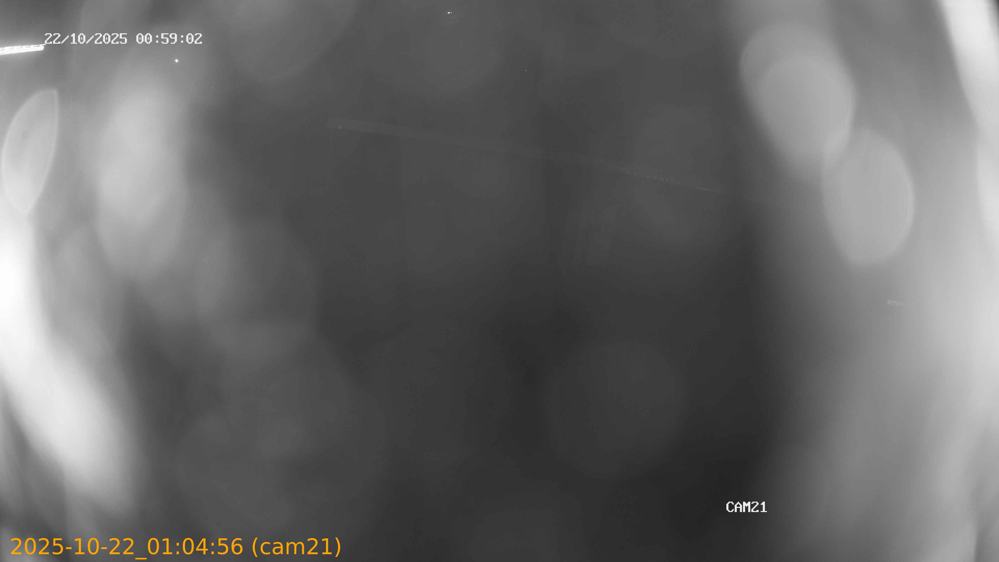 20251022010456