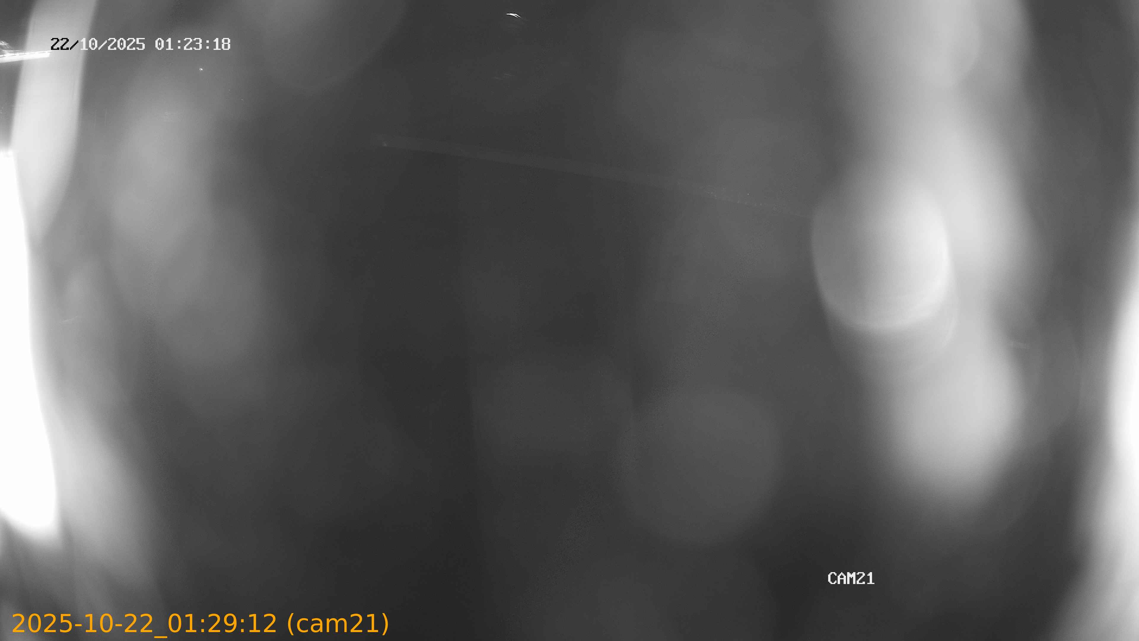 20251022012912