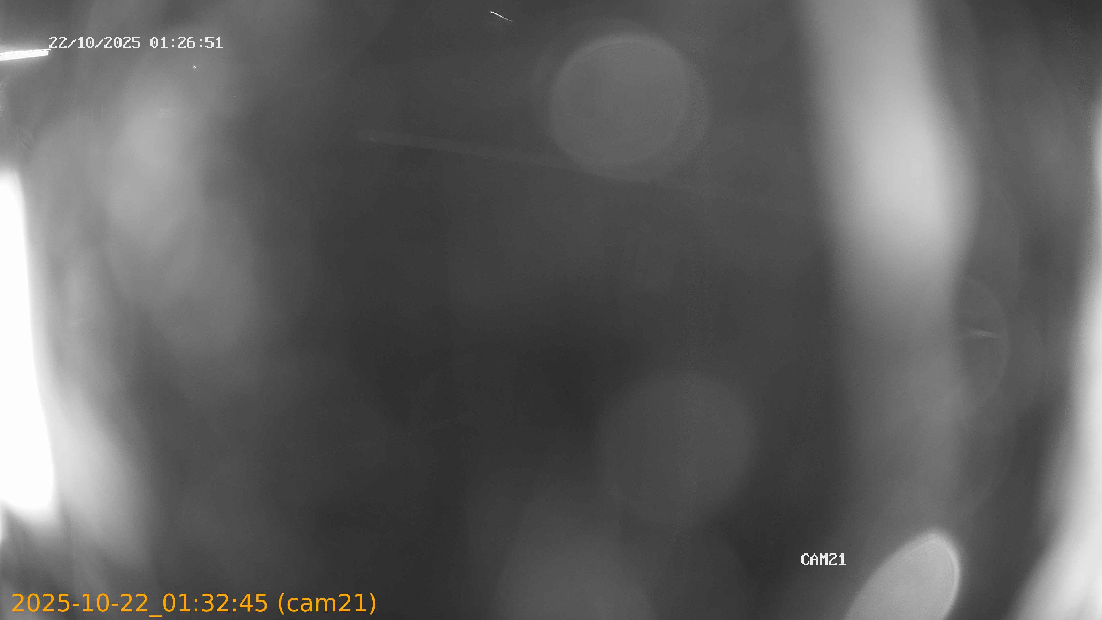 20251022013245