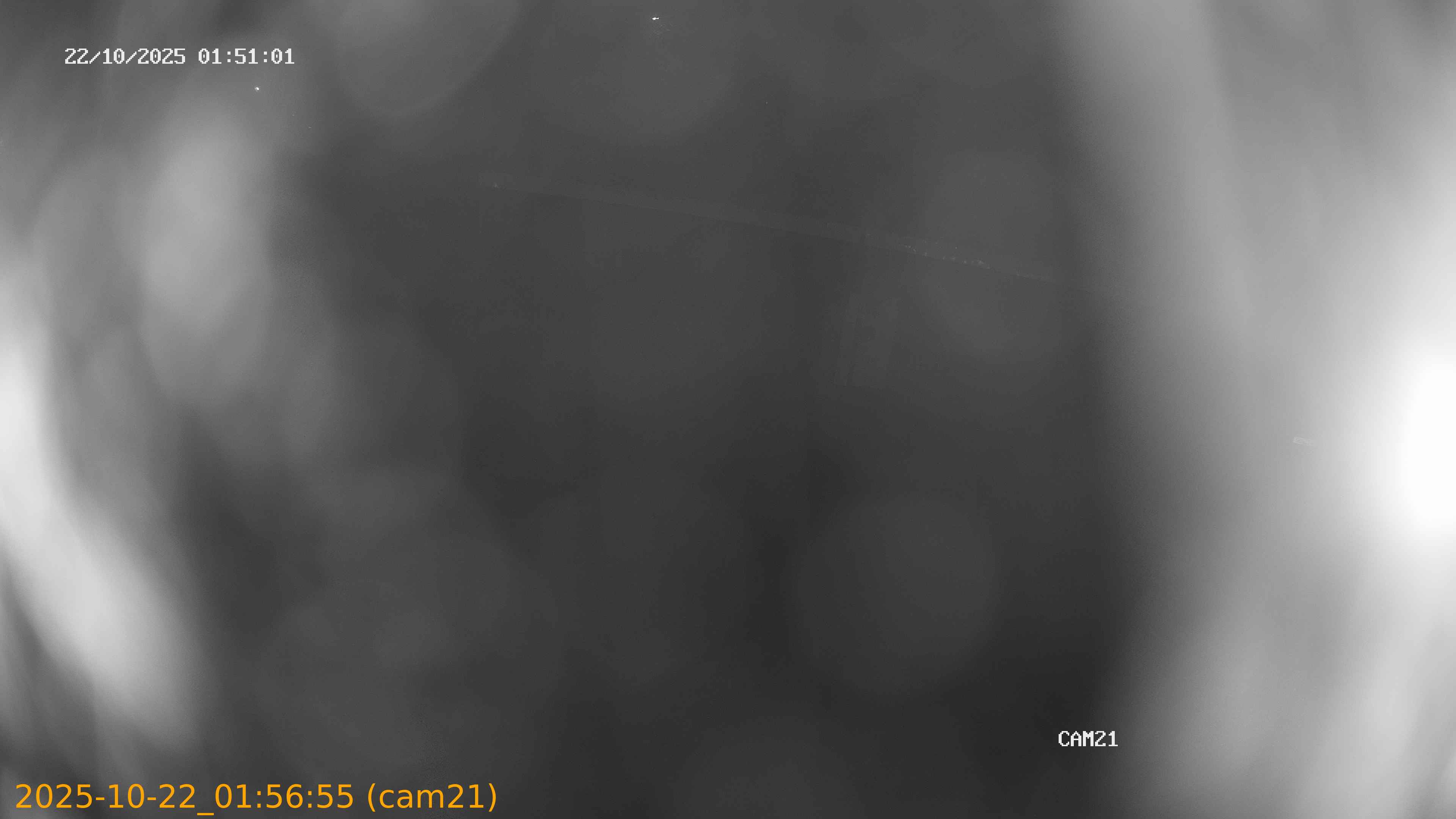 20251022015655