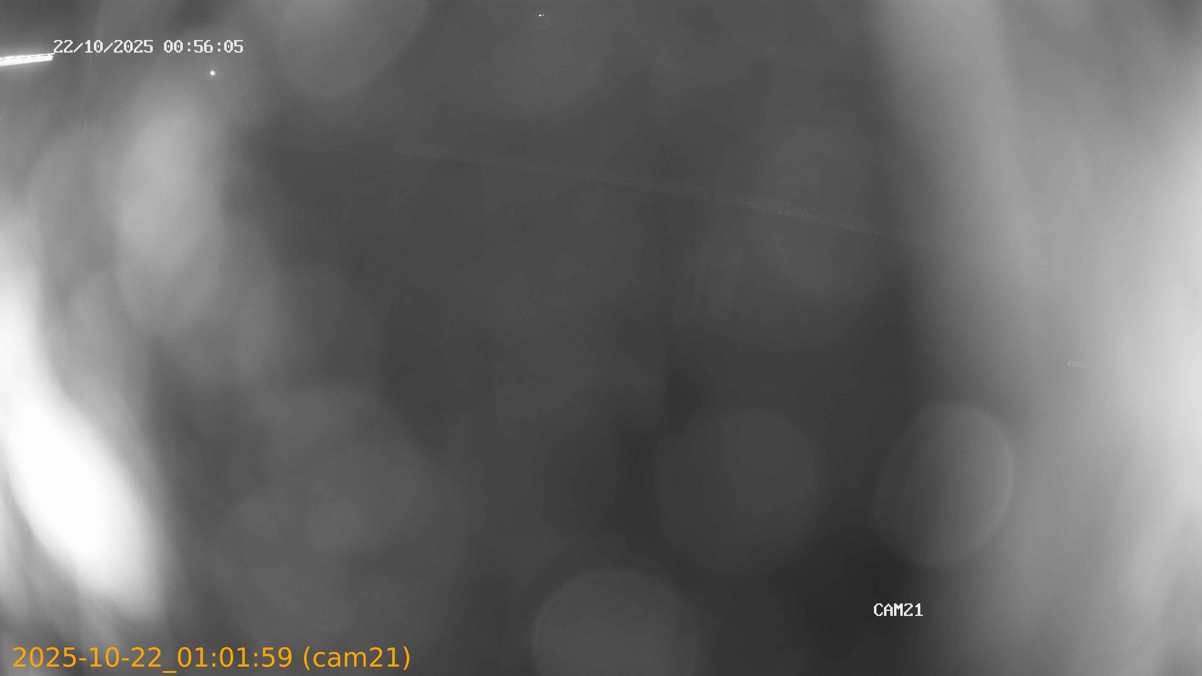 thumbnail_202510220101
