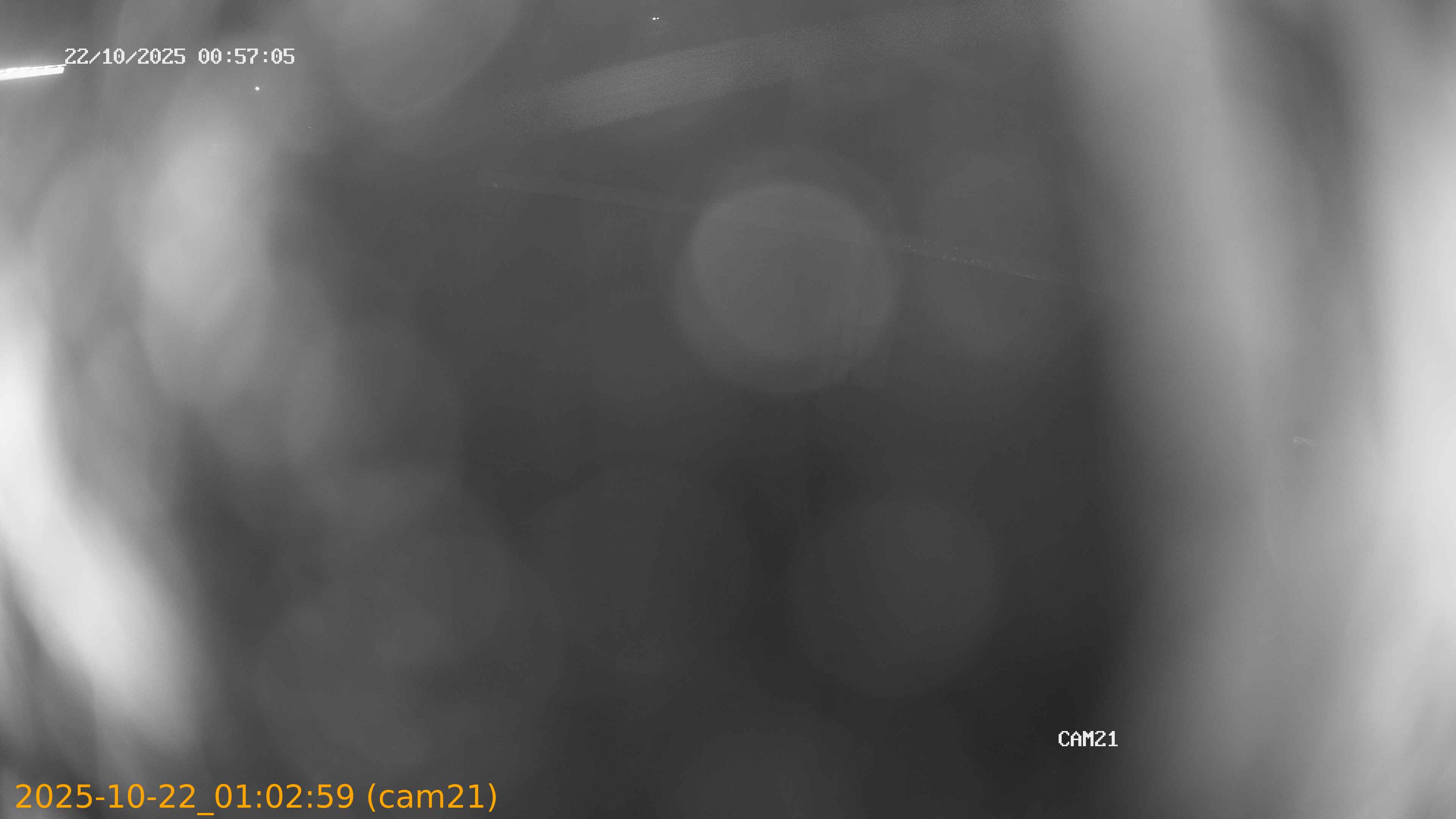 thumbnail_202510220102