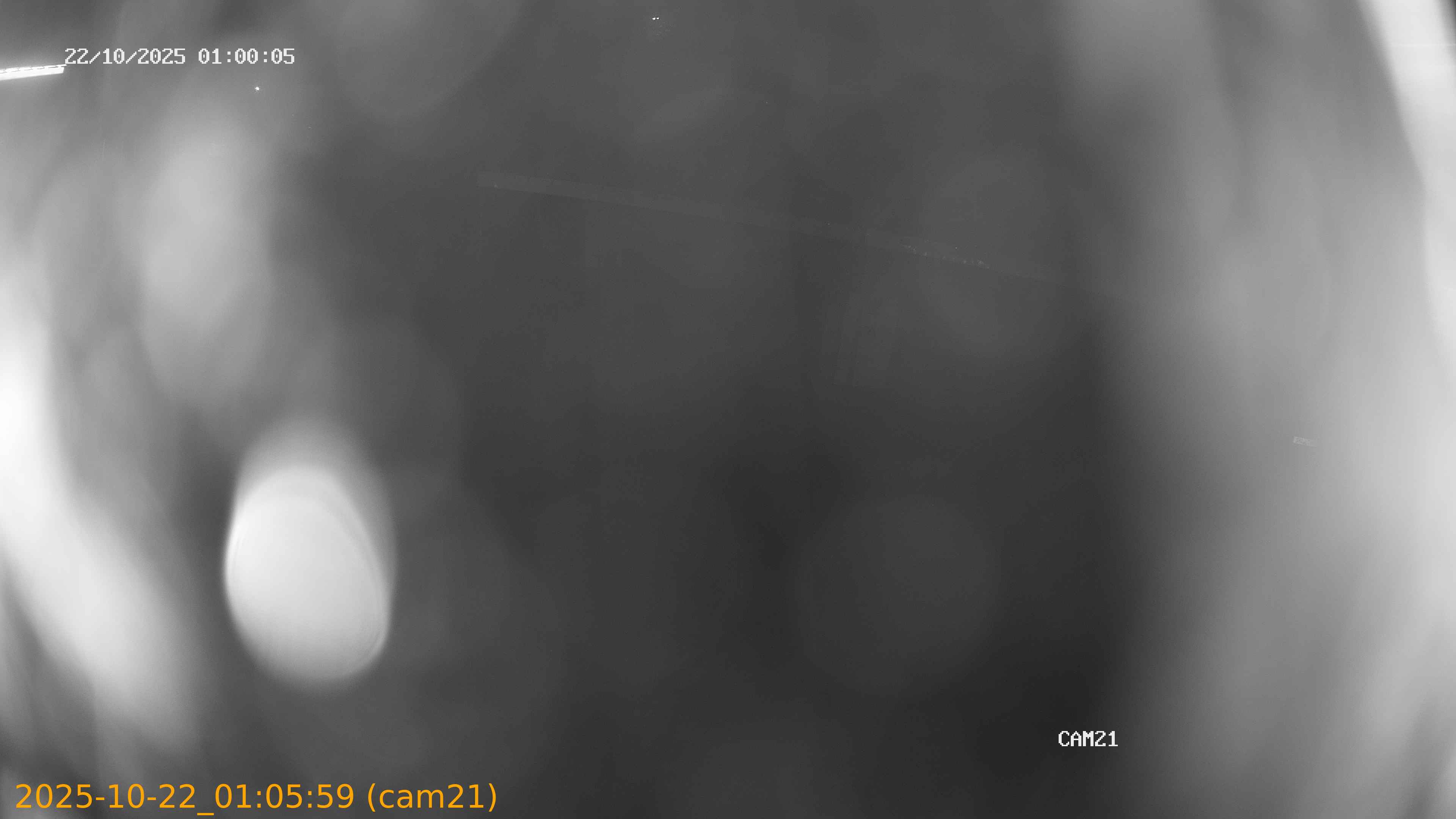 thumbnail_202510220105