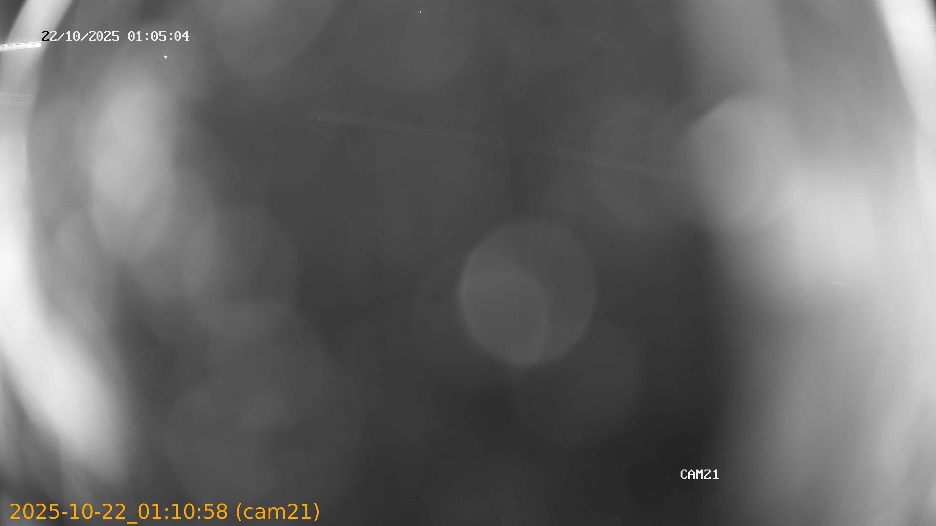 thumbnail_202510220110