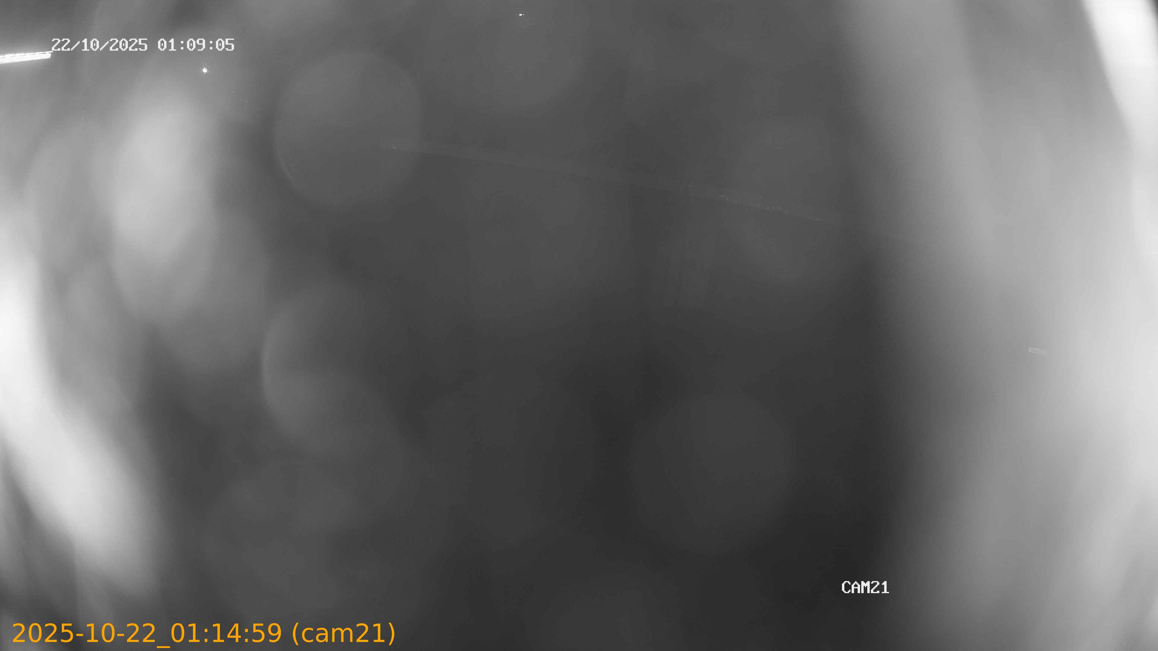 thumbnail_202510220114