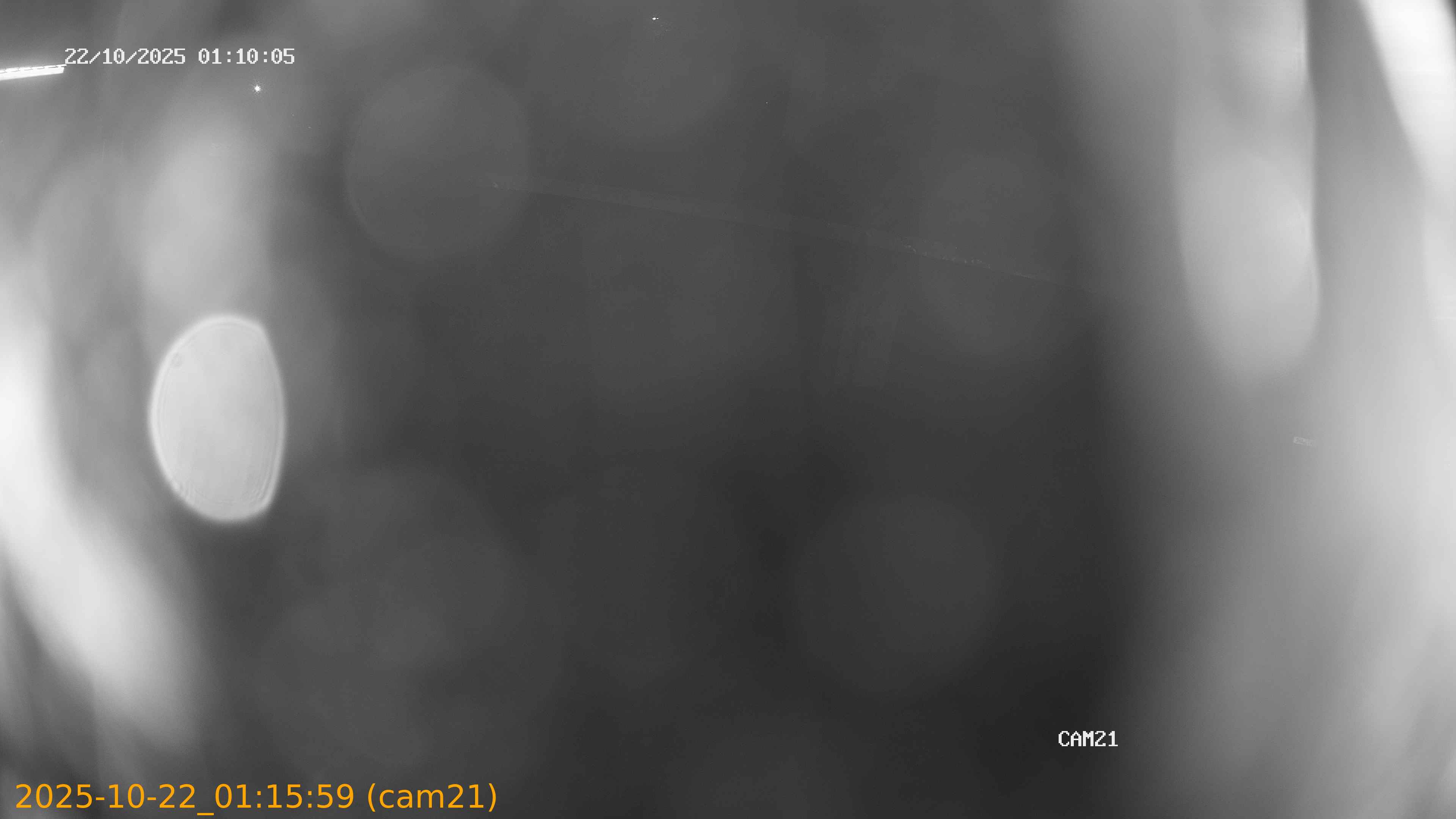 thumbnail_202510220115