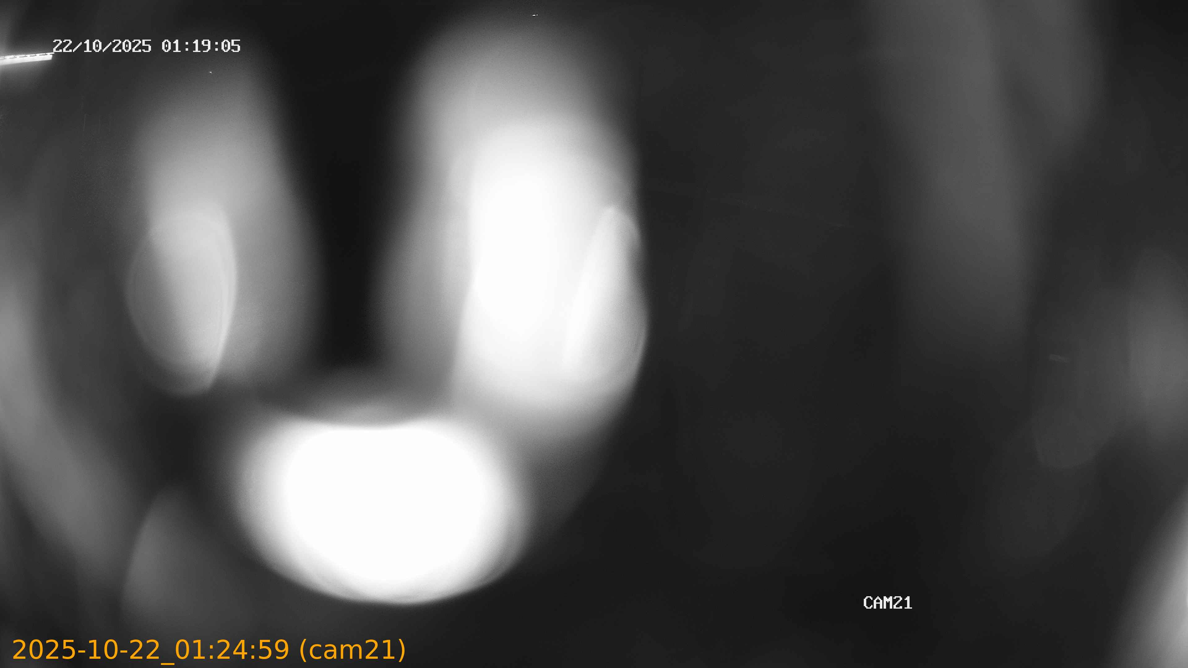 thumbnail_202510220124