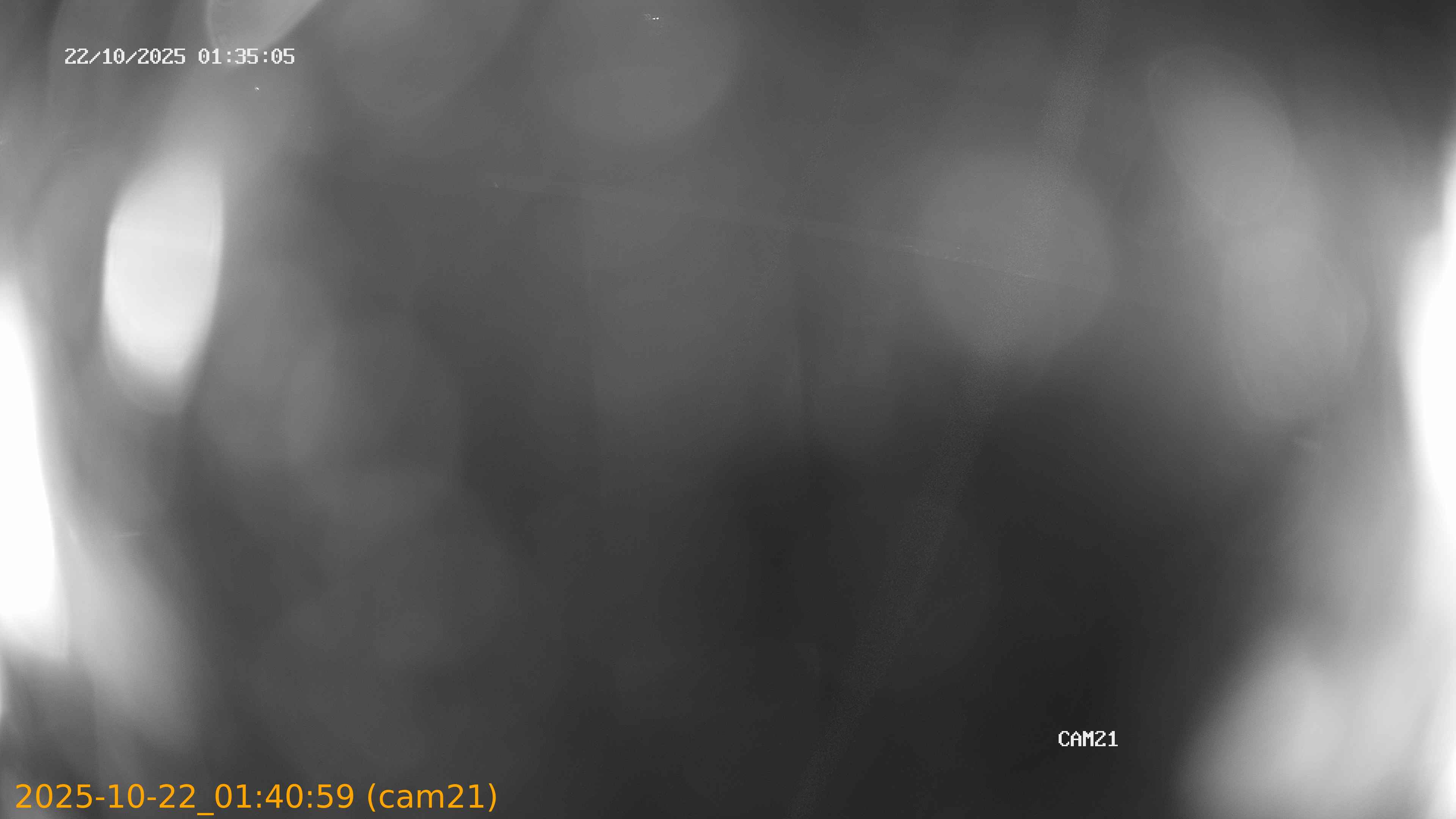 thumbnail_202510220140