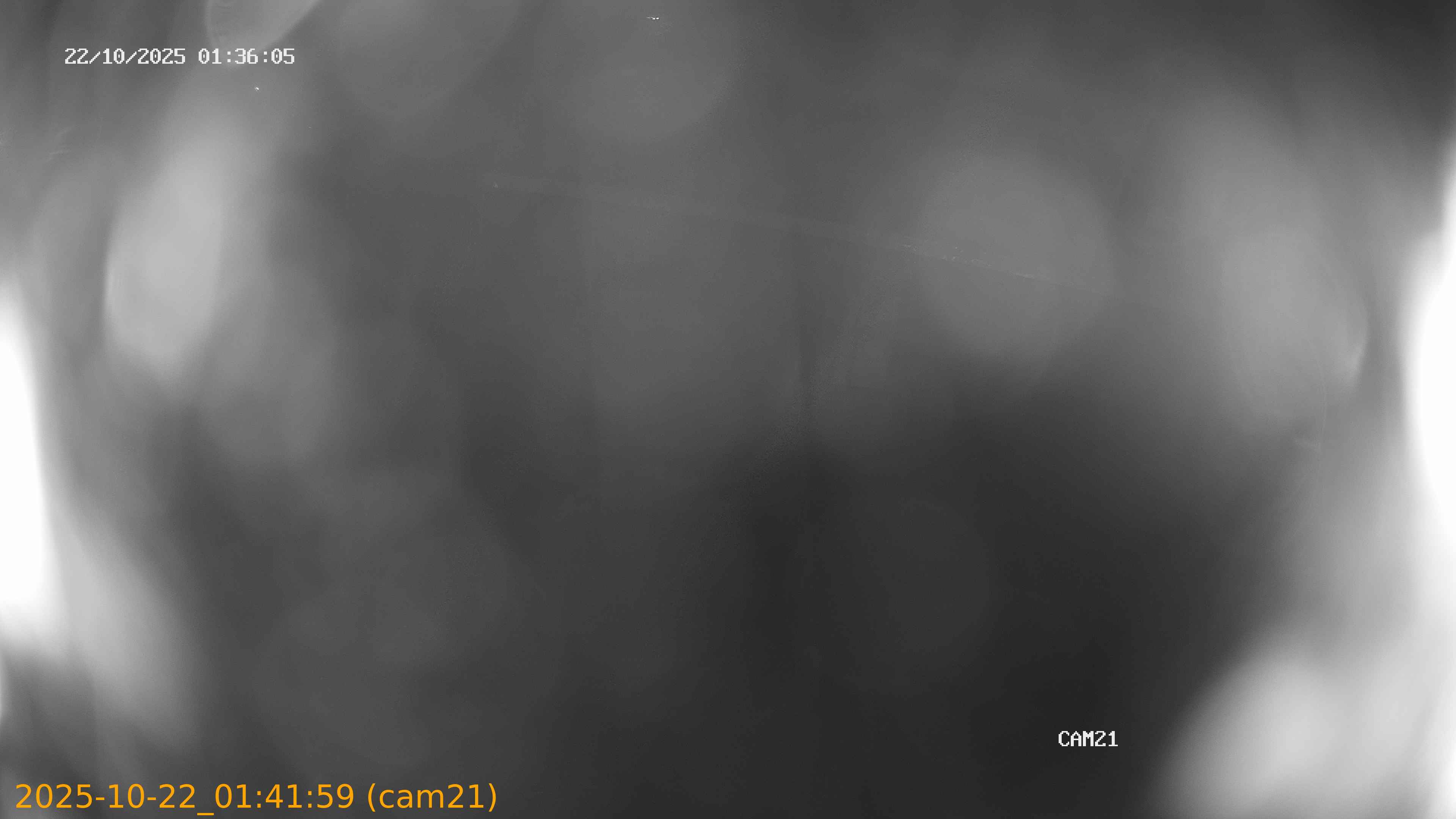 thumbnail_202510220141