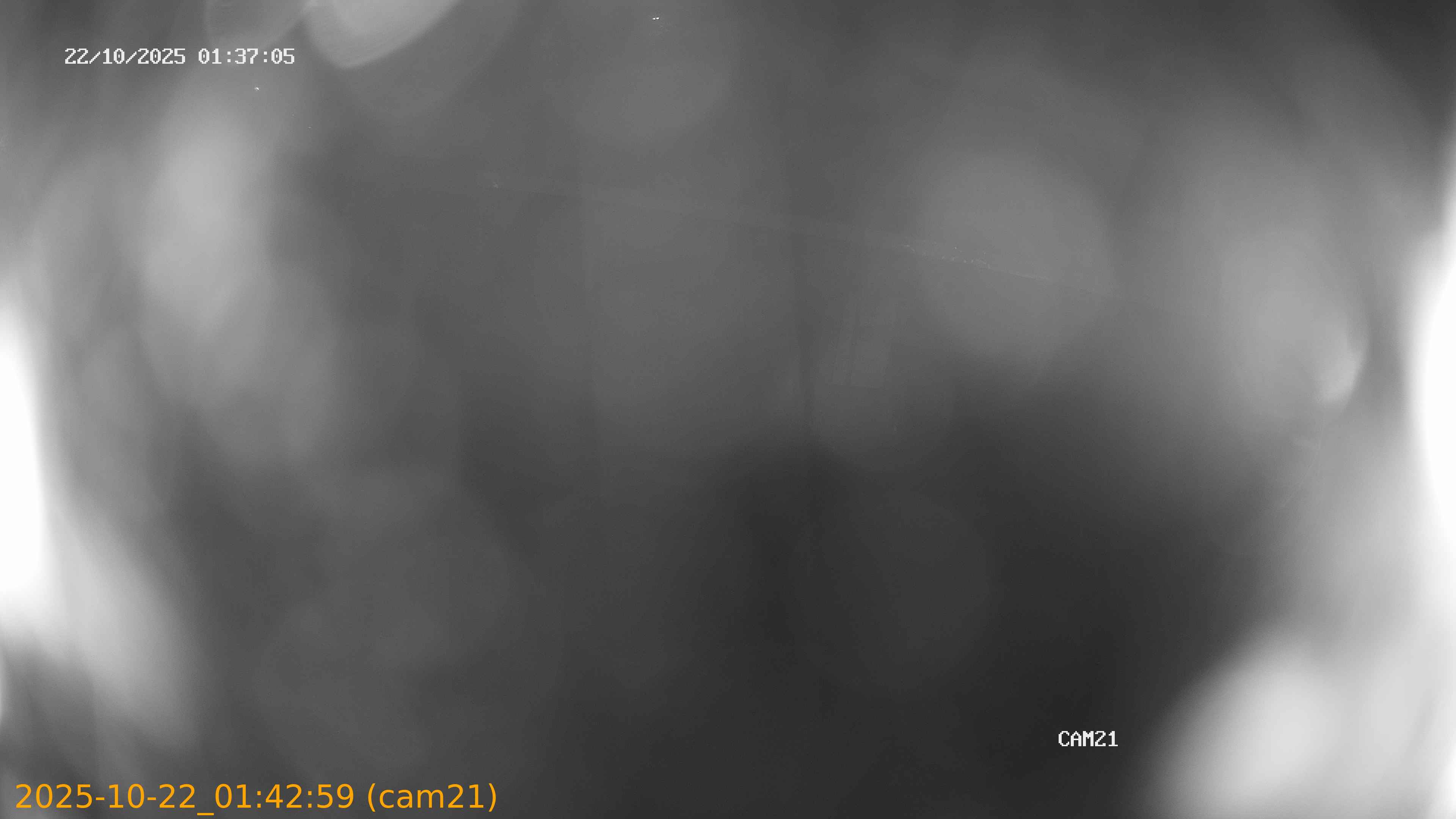 thumbnail_202510220142