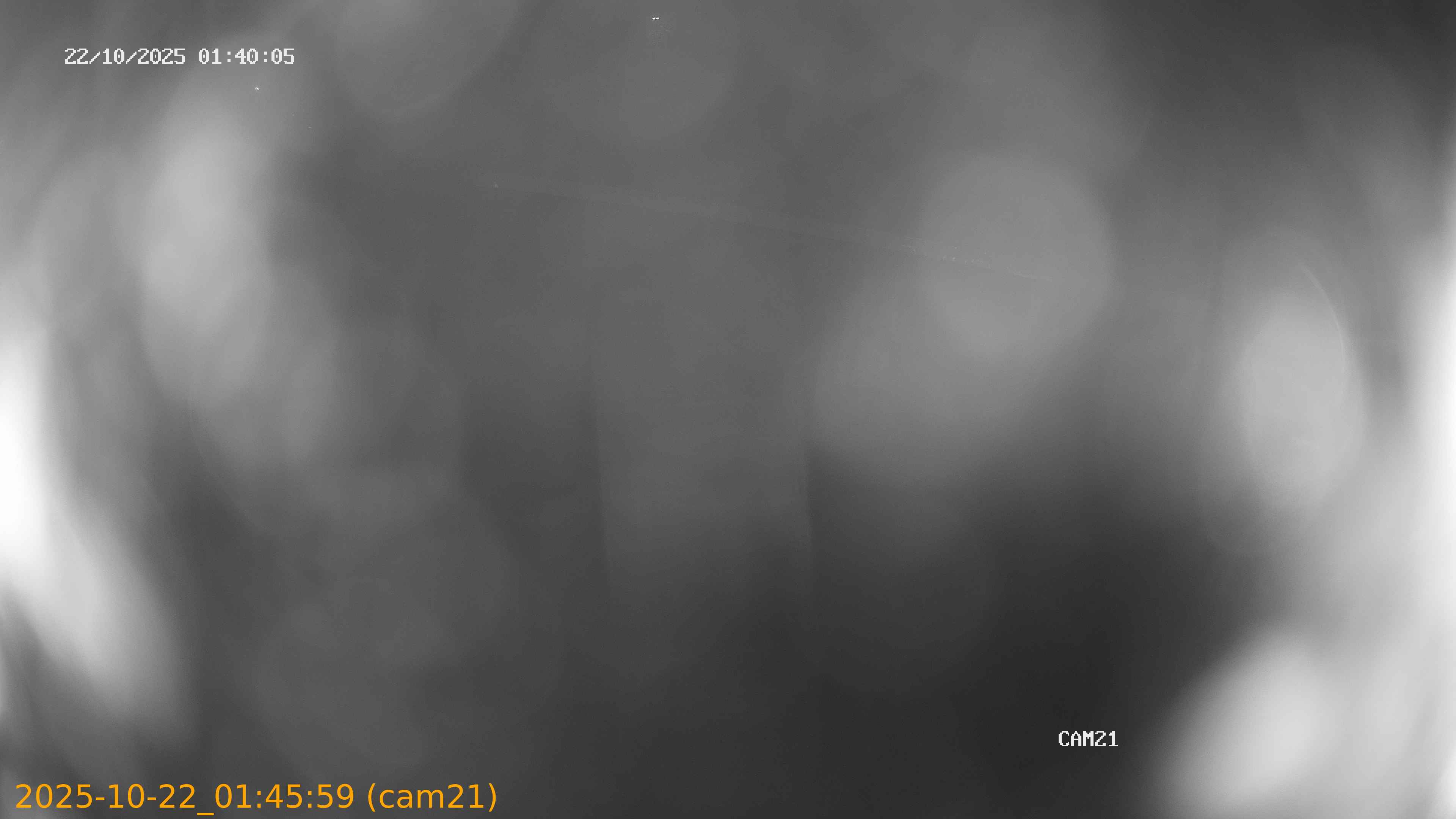 thumbnail_202510220145