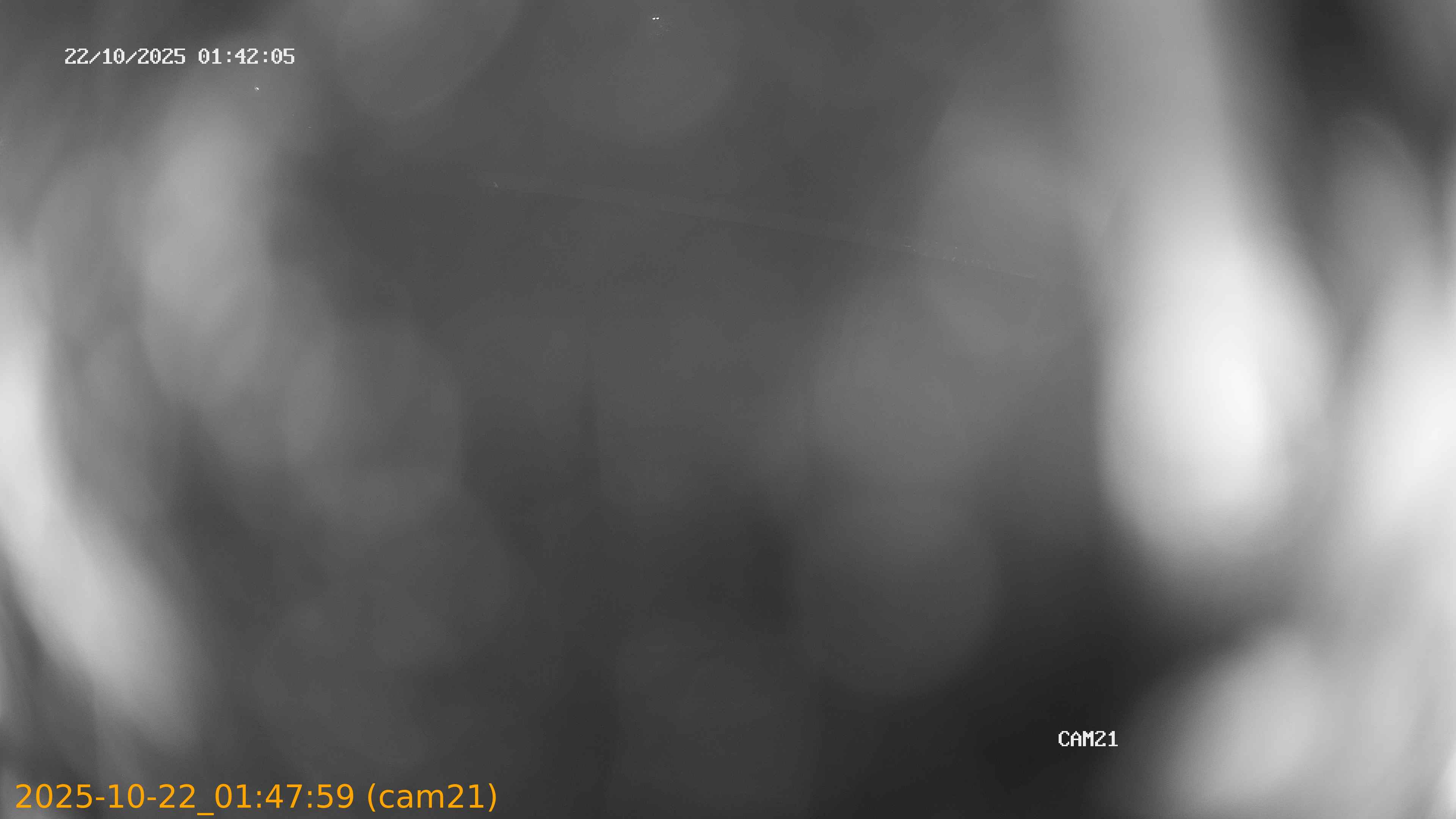 thumbnail_202510220147