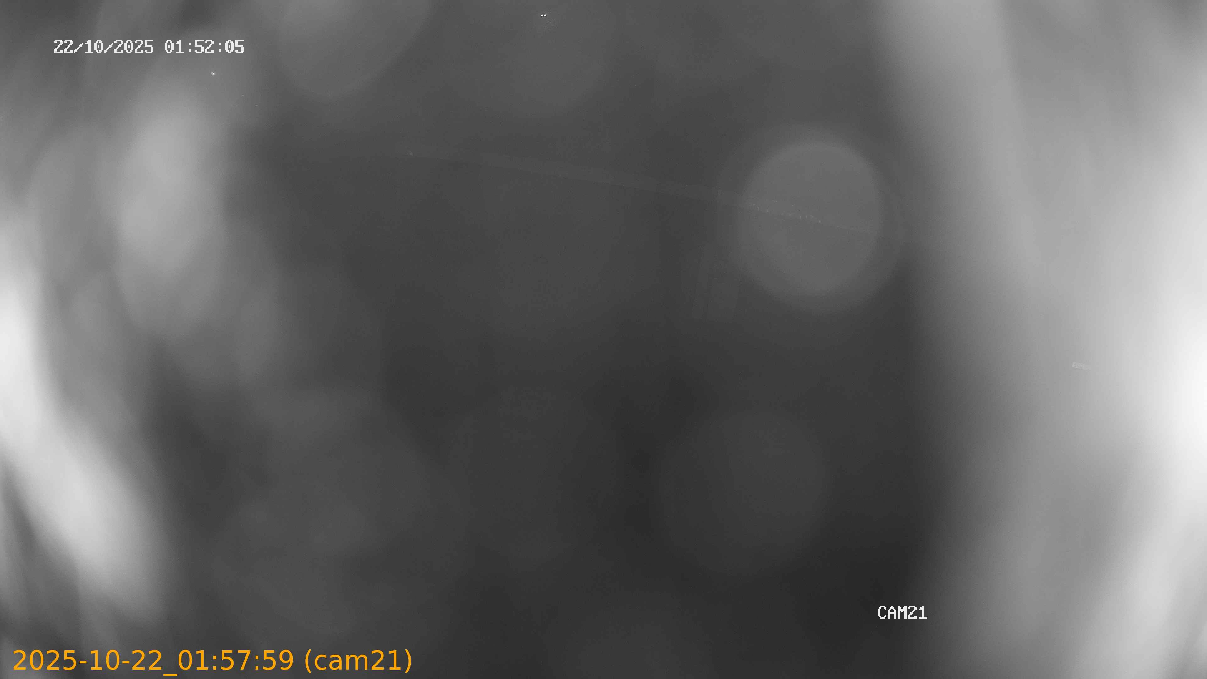 thumbnail_202510220157