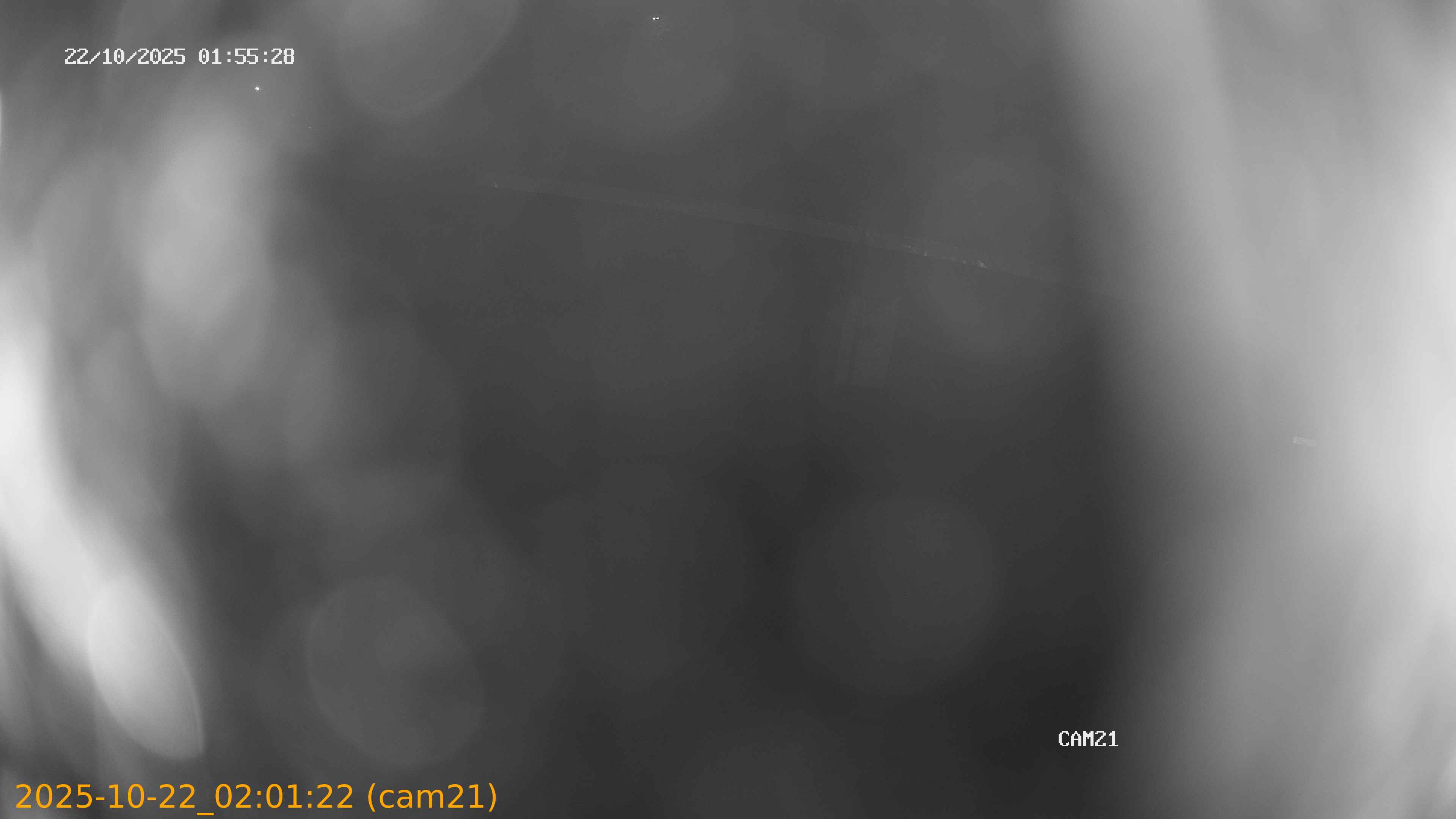 20251022020122