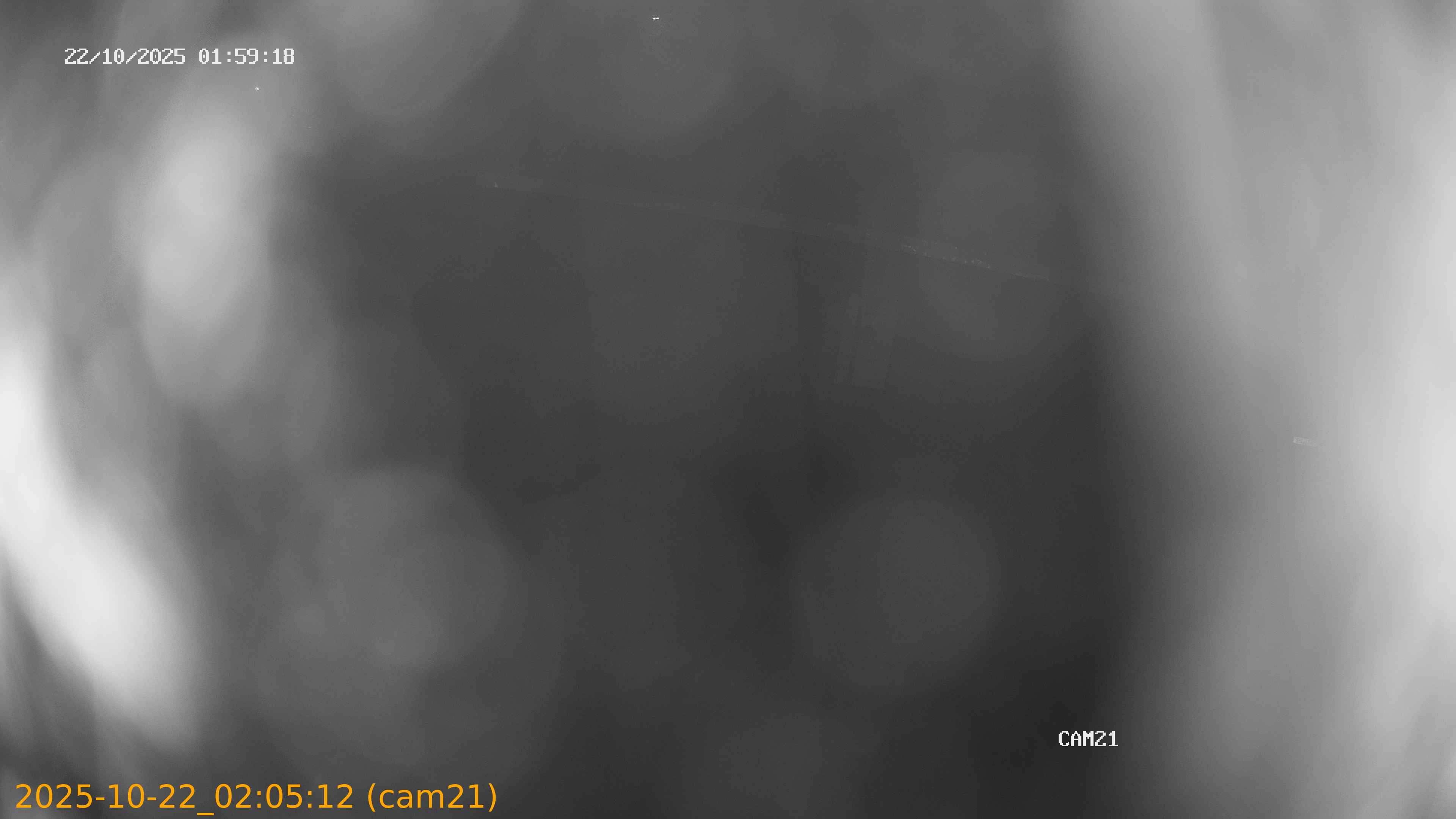 20251022020512